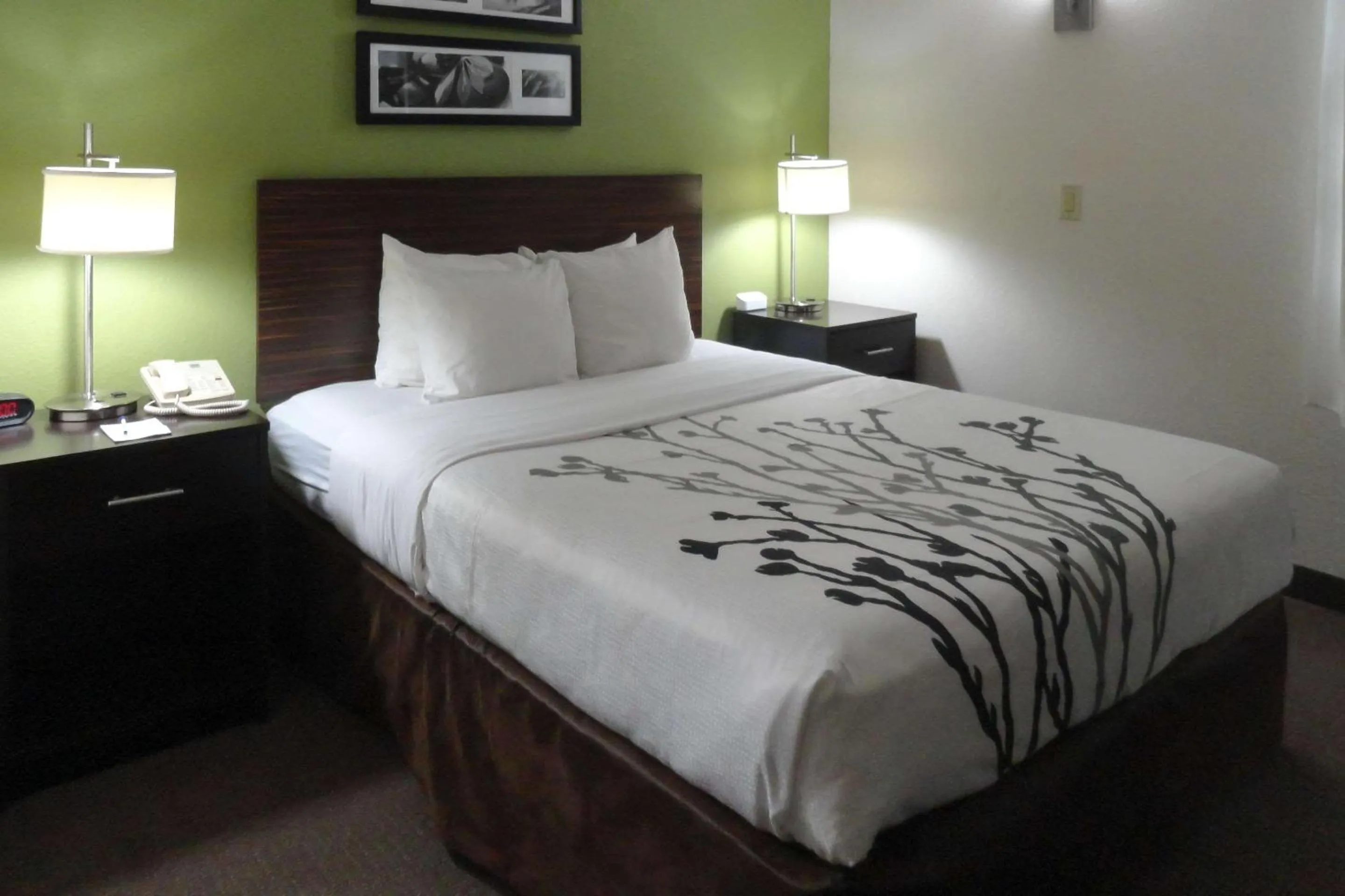 Bedroom, Bed in Sleep Inn & Suites Near Columbus - State University Area