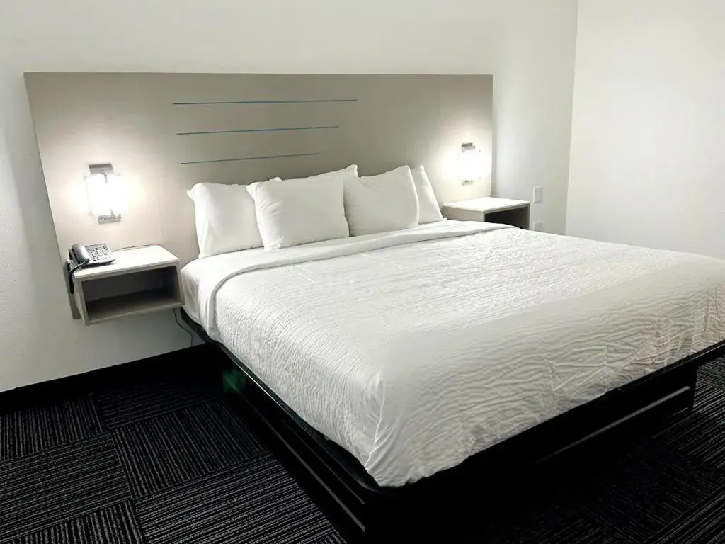 King Room - Non-Smoking in Baymont by Wyndham Port Wentworth King Room - Non-Smoking in Baymont by Wyndham Port Wentworth