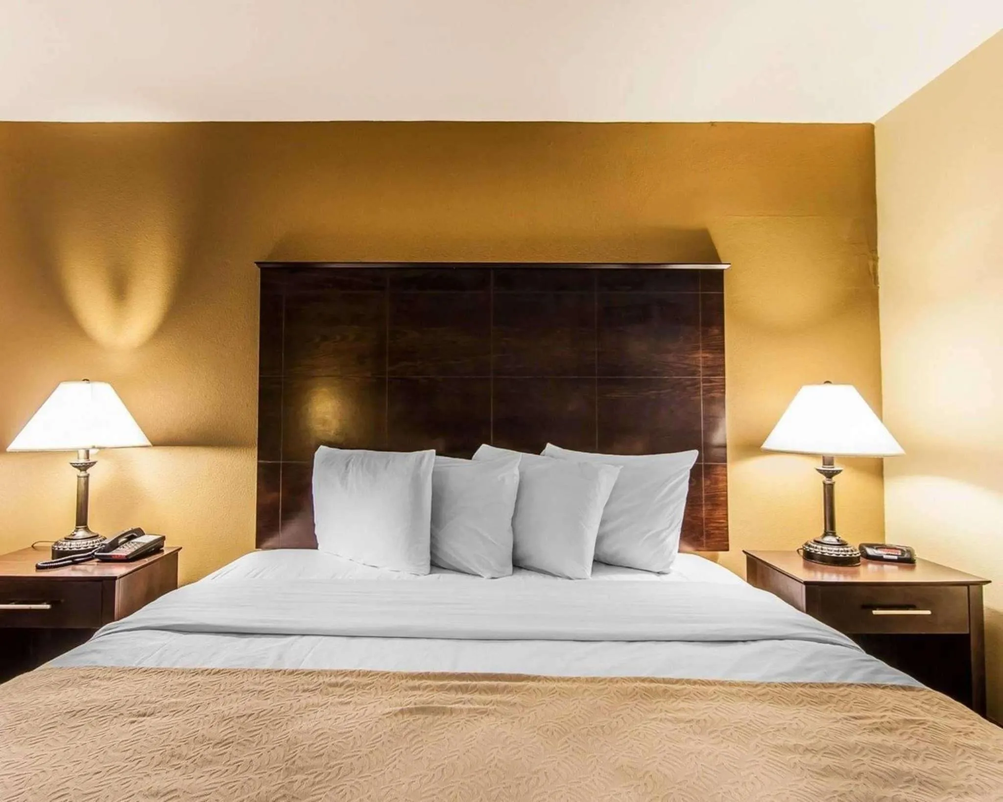 Photo of the whole room, Bed in Quality Inn & Suites Bremen