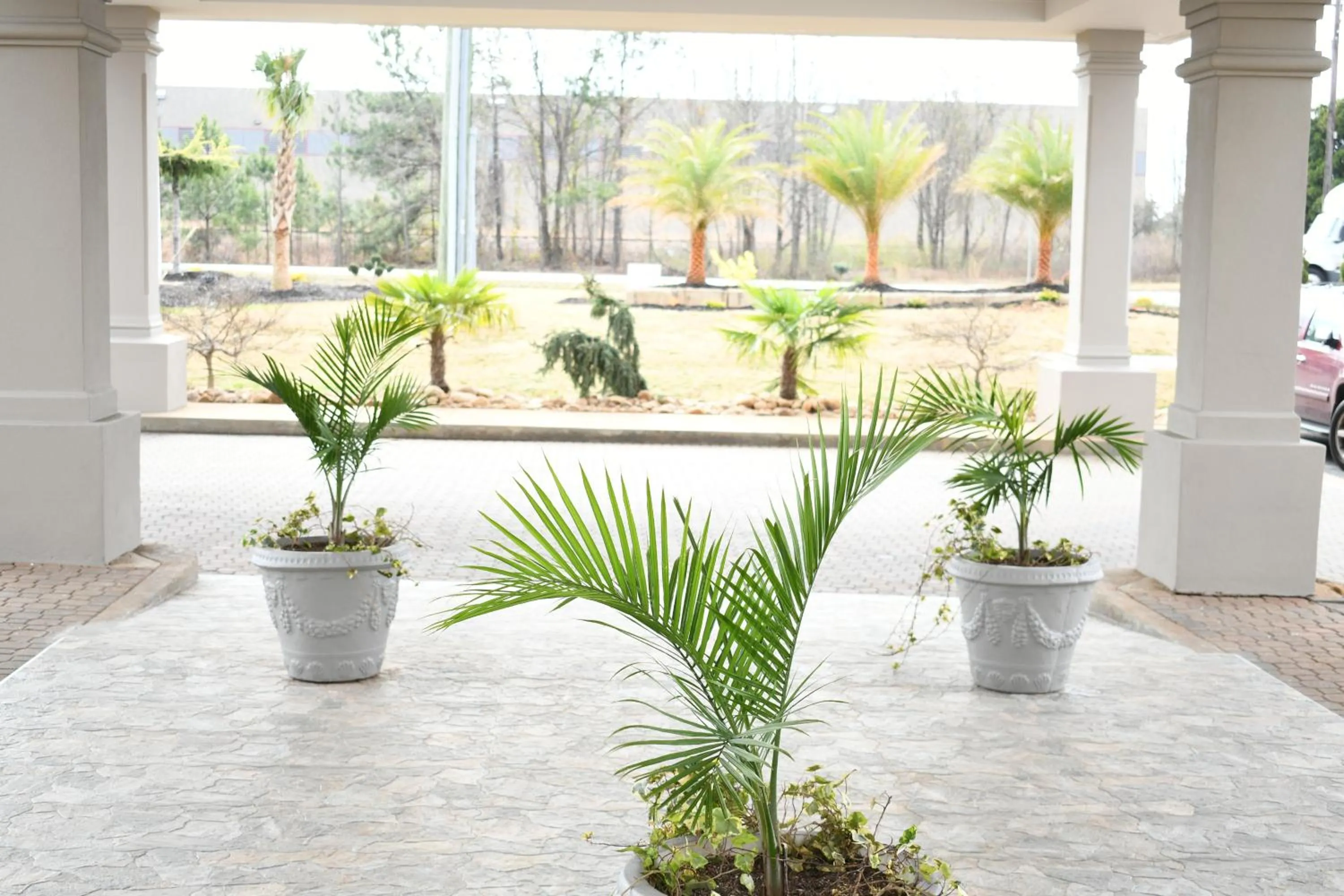 Lobby or reception in Quality Inn & Suites McDonough South I-75