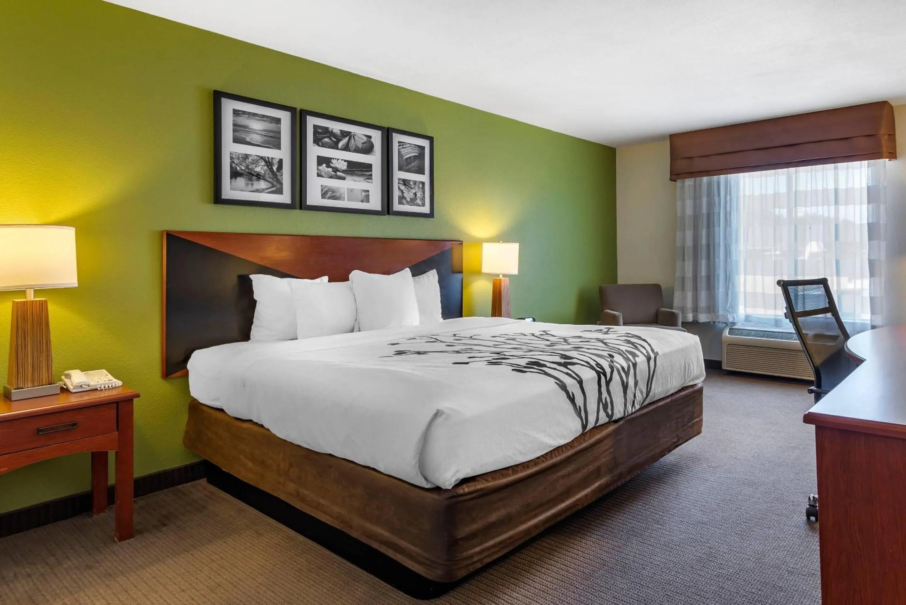 Bedroom, Bed in Sleep Inn & Suites Stockbridge Atlanta South