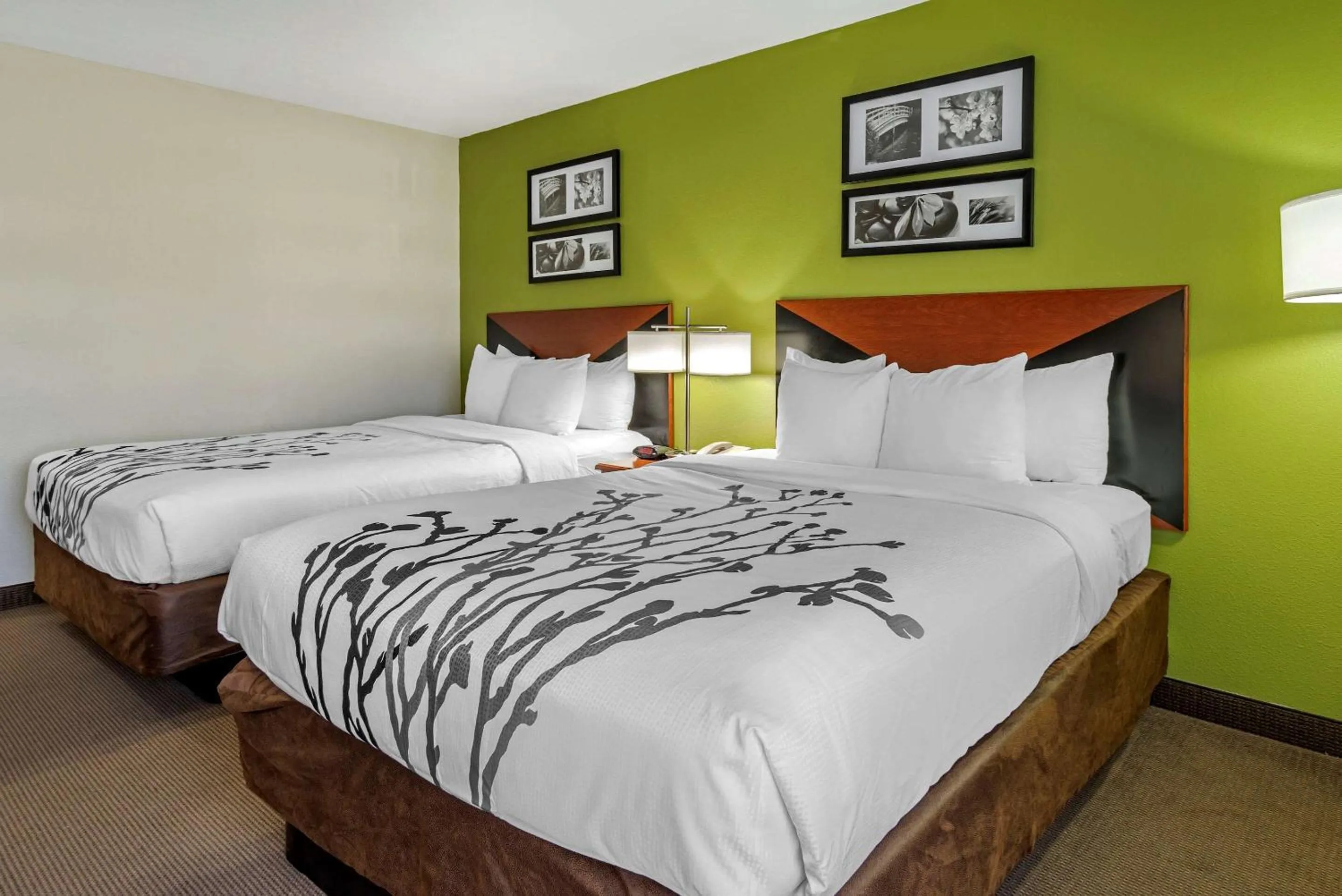 Photo of the whole room, Bed in Sleep Inn & Suites Stockbridge Atlanta South