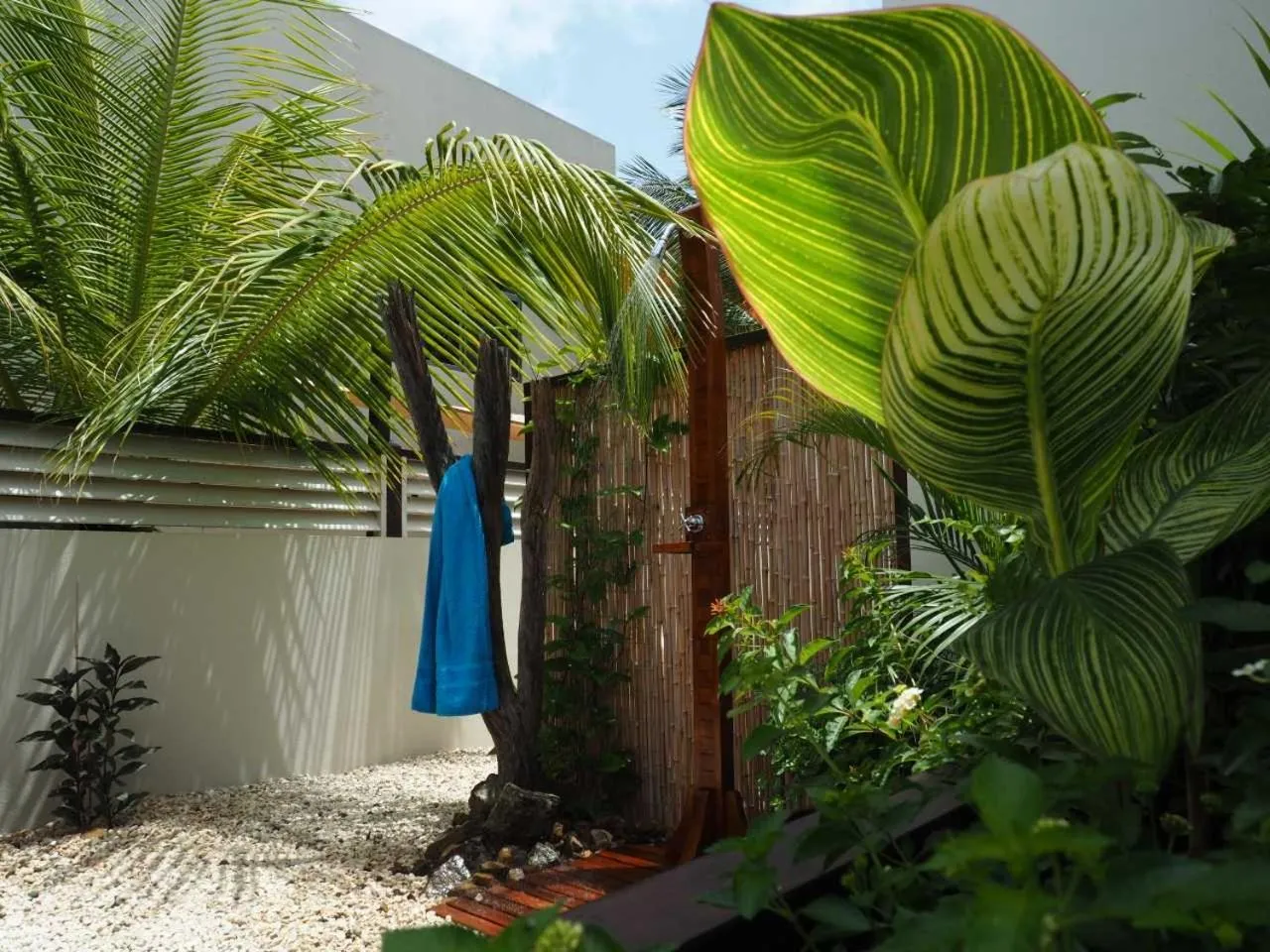 Garden in B&B Kas ChuChubi