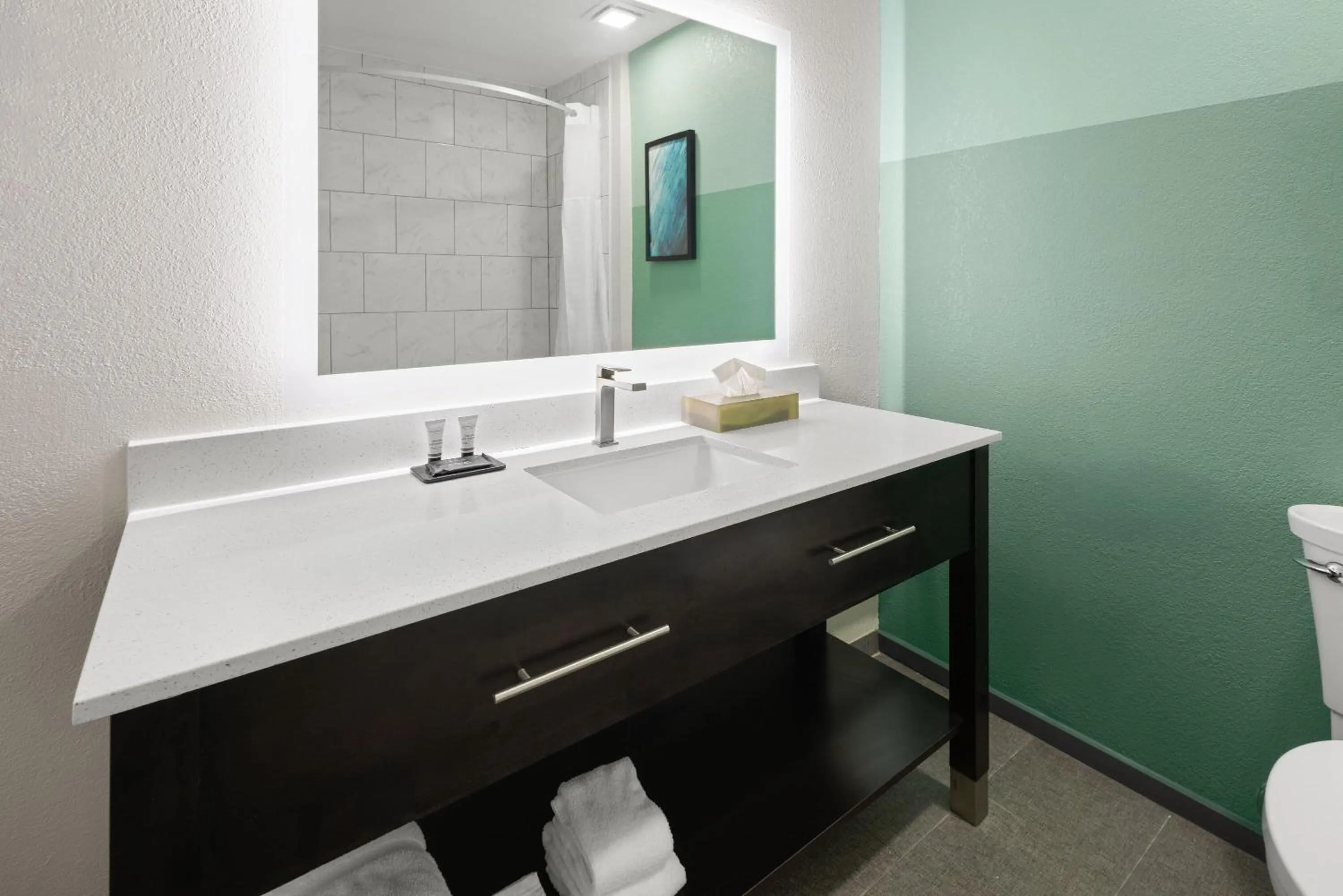 Bathroom in Wingate by Wyndham Kings Bay Naval Base I-95