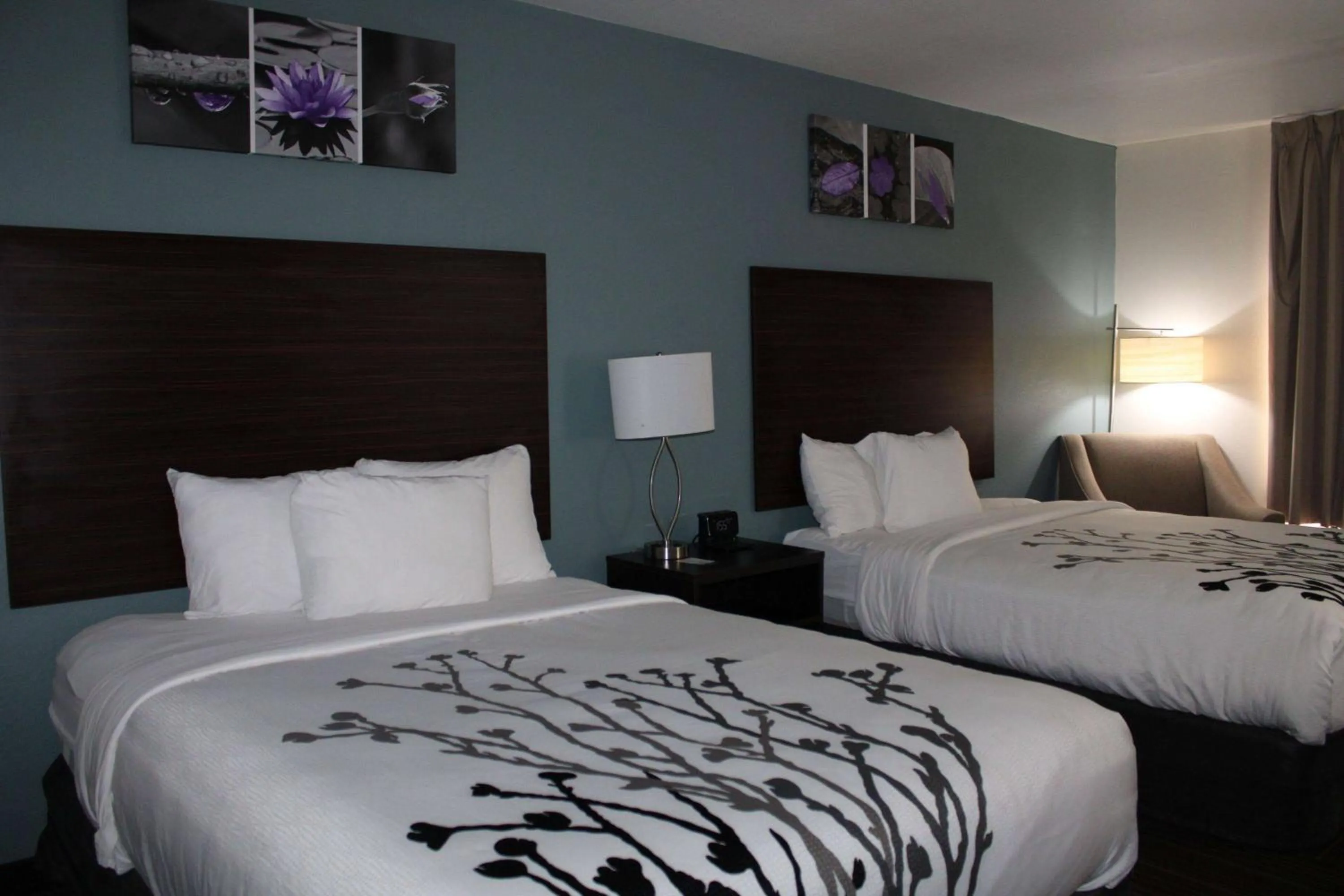 Photo of the whole room, Bed in Sleep Inn & Suites