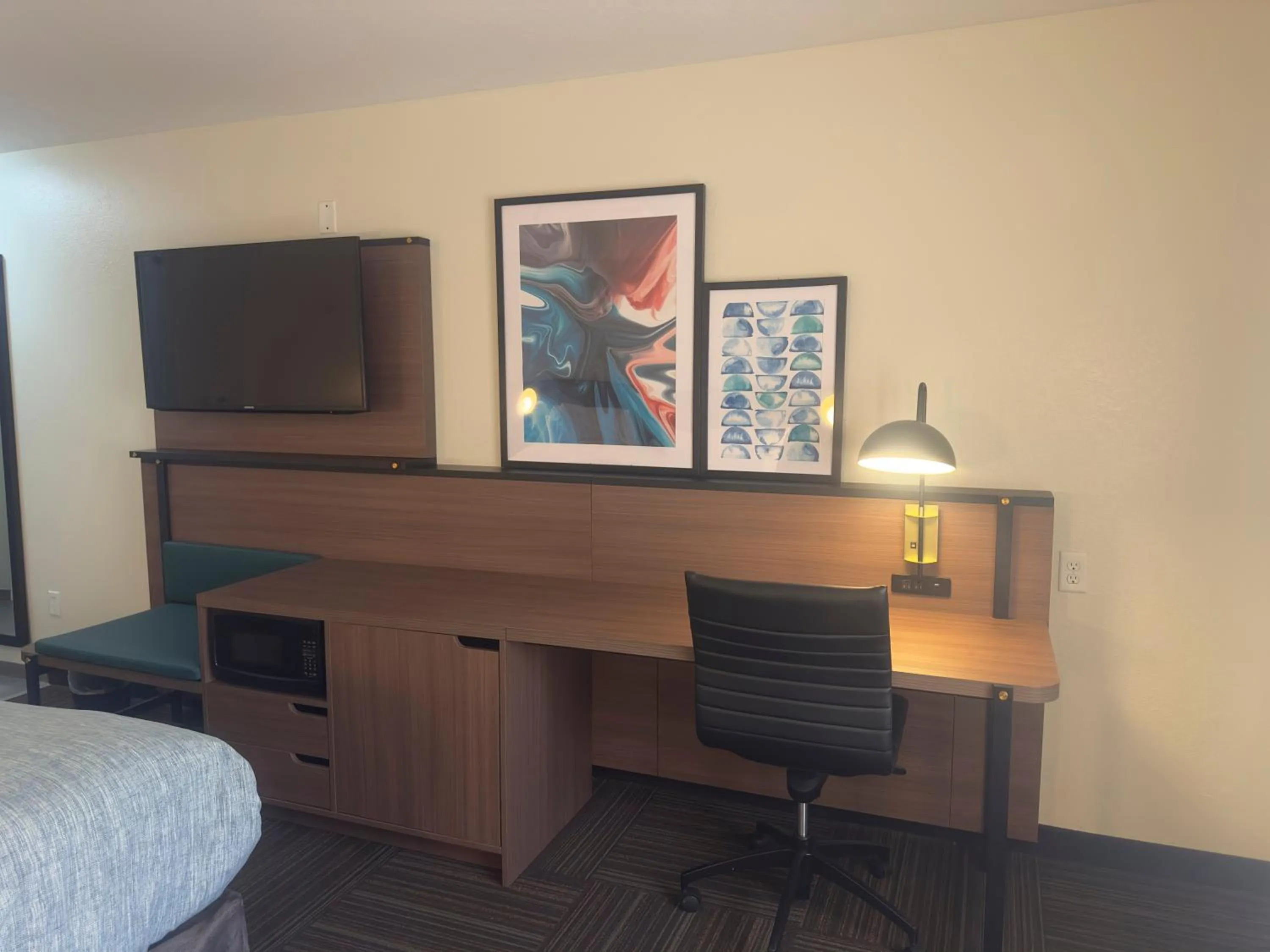 TV and multimedia in Wingate by Wyndham Kings Bay Naval Base I-95