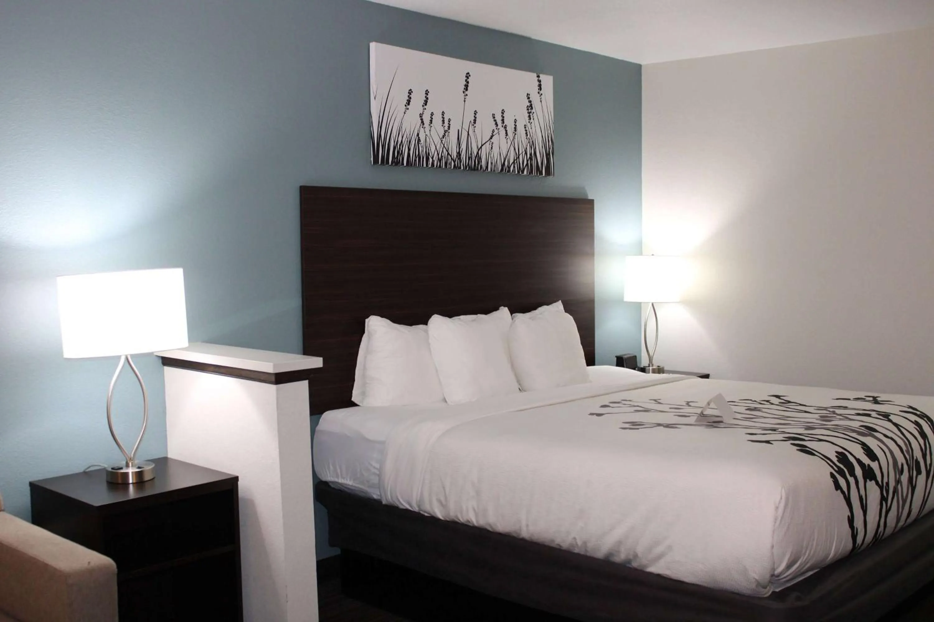 Photo of the whole room, Bed in Sleep Inn & Suites