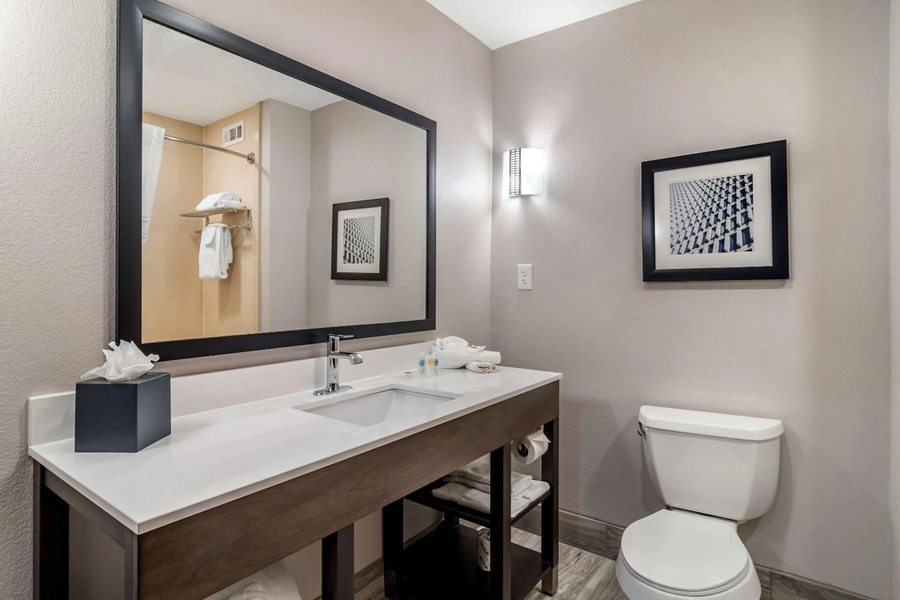 Bathroom in Comfort Suites McDonough Atlanta South
