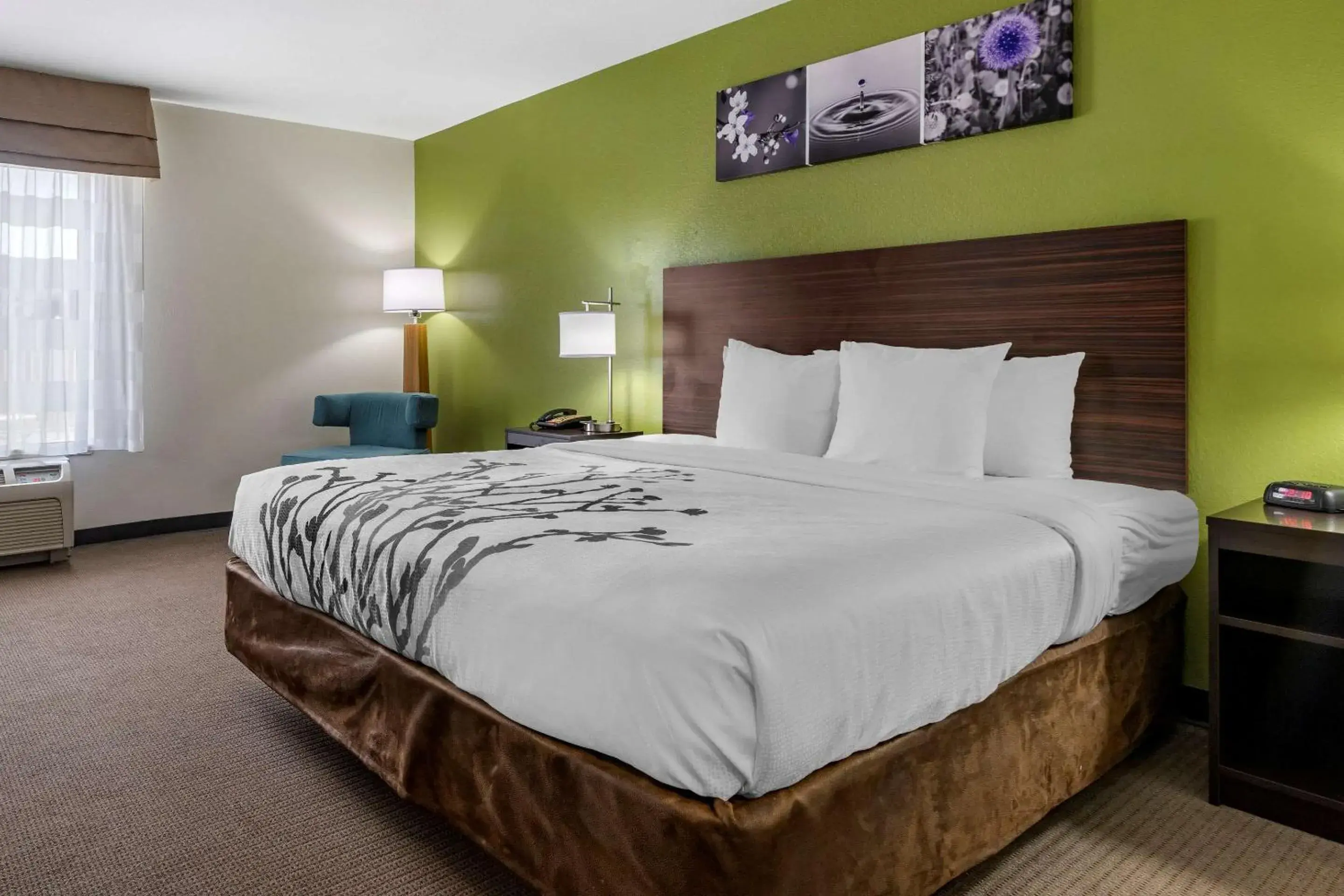 King Room - Non-Smoking in Sleep Inn & Suites King Room - Non-Smoking in Sleep Inn & Suites