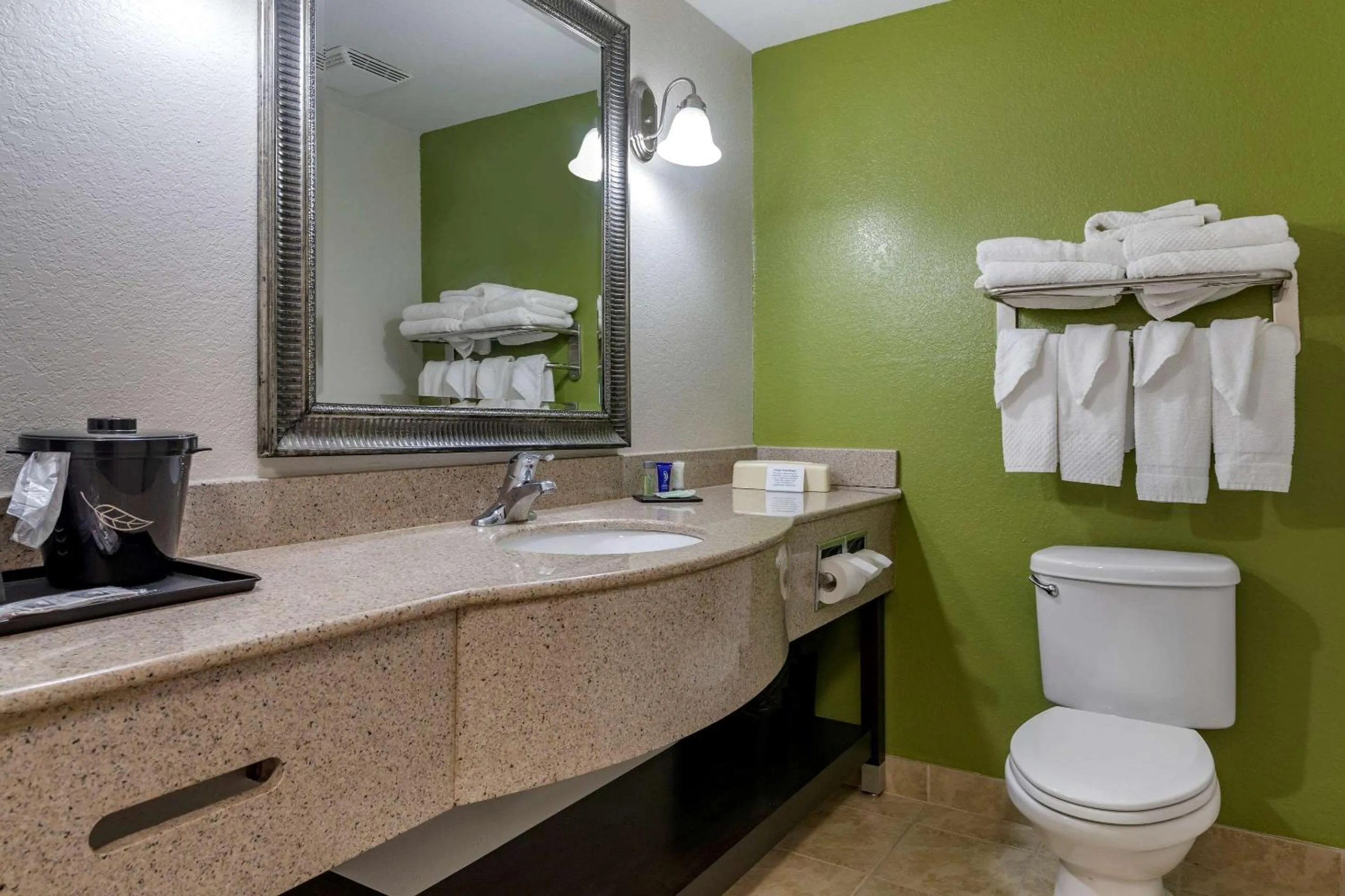 Bathroom in Sleep Inn & Suites Brunswick North