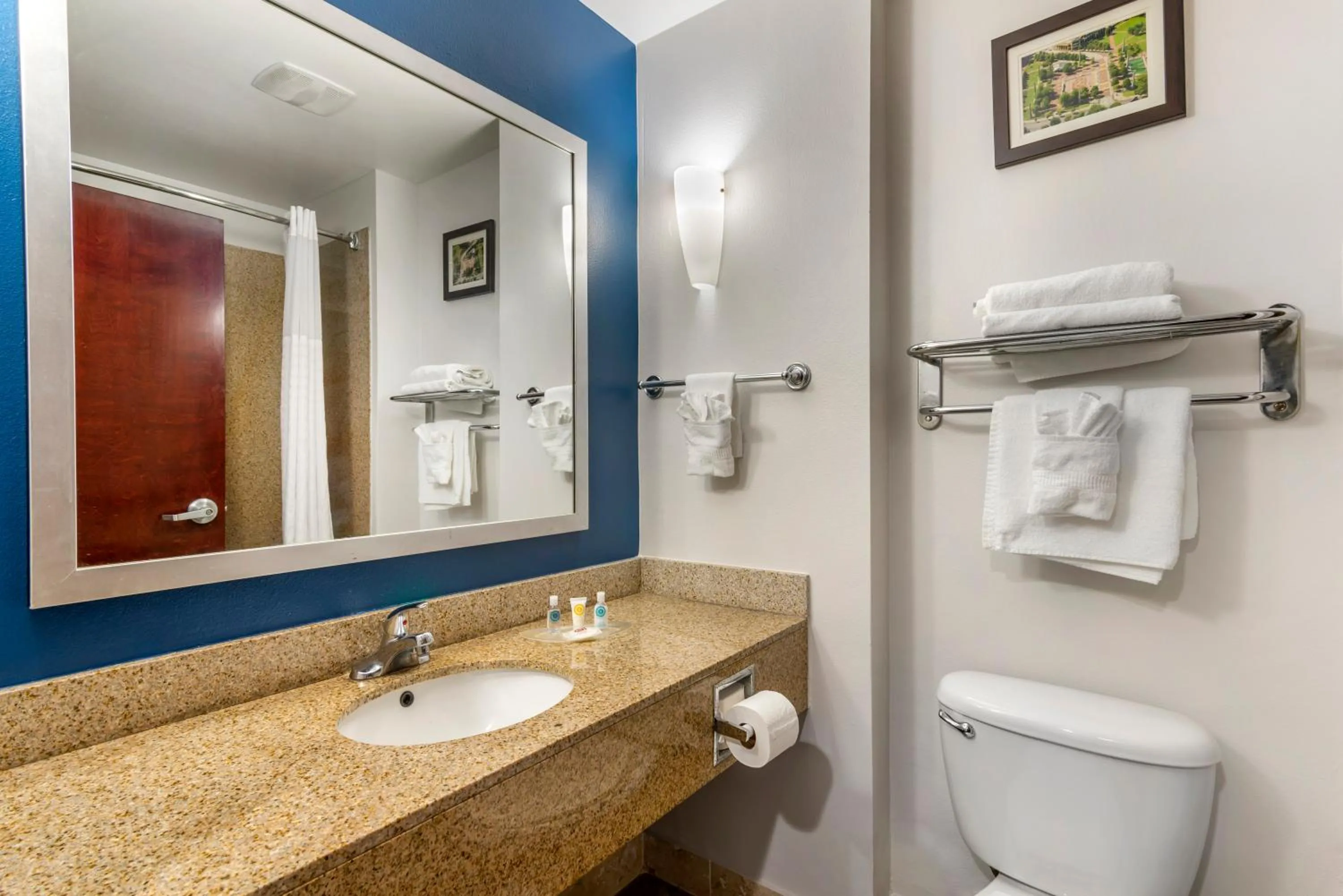 Bathroom in Comfort Suites Atlanta Airport