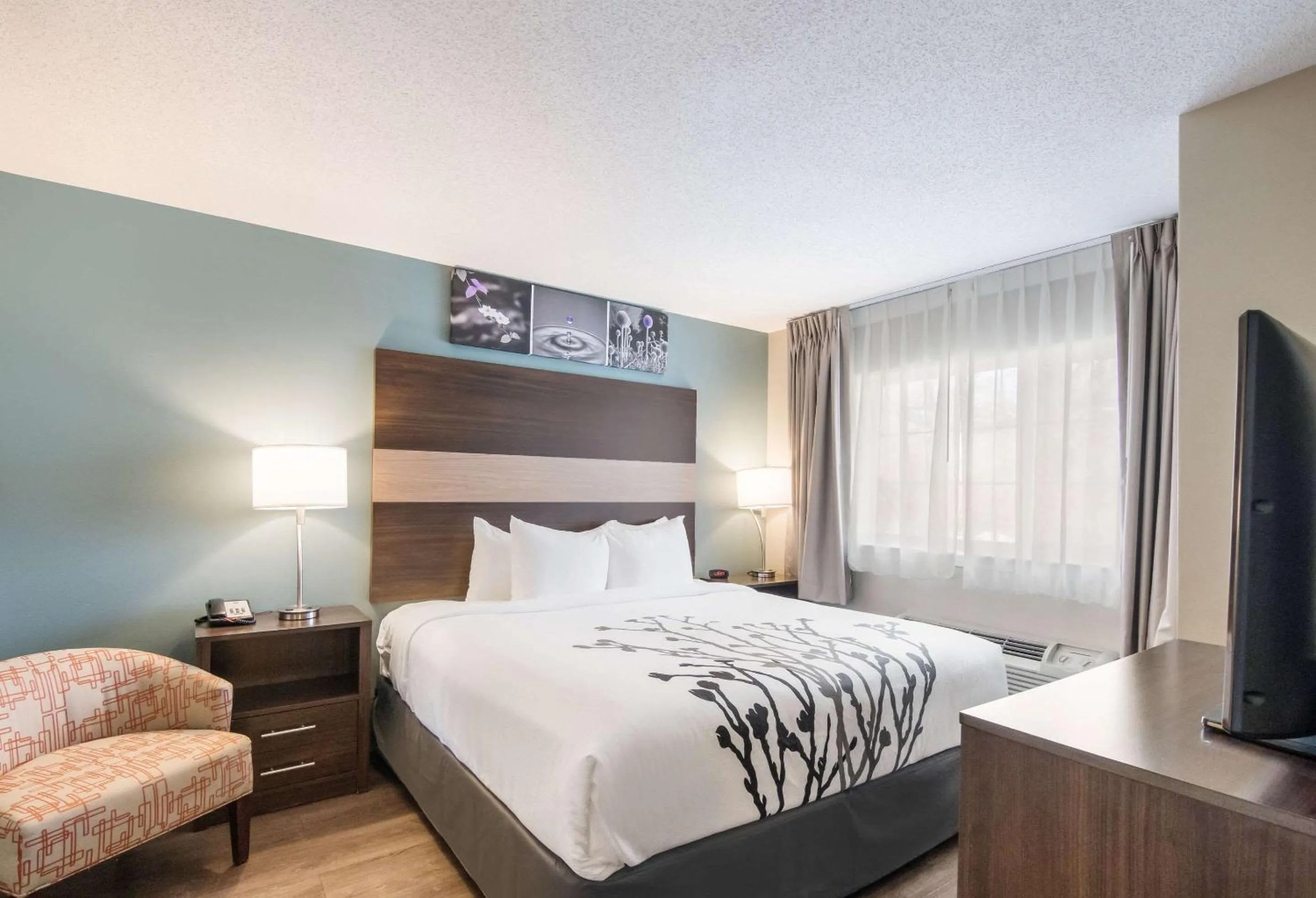 Photo of the whole room, Bed in Sleep Inn & Suites Columbus near Fort Benning