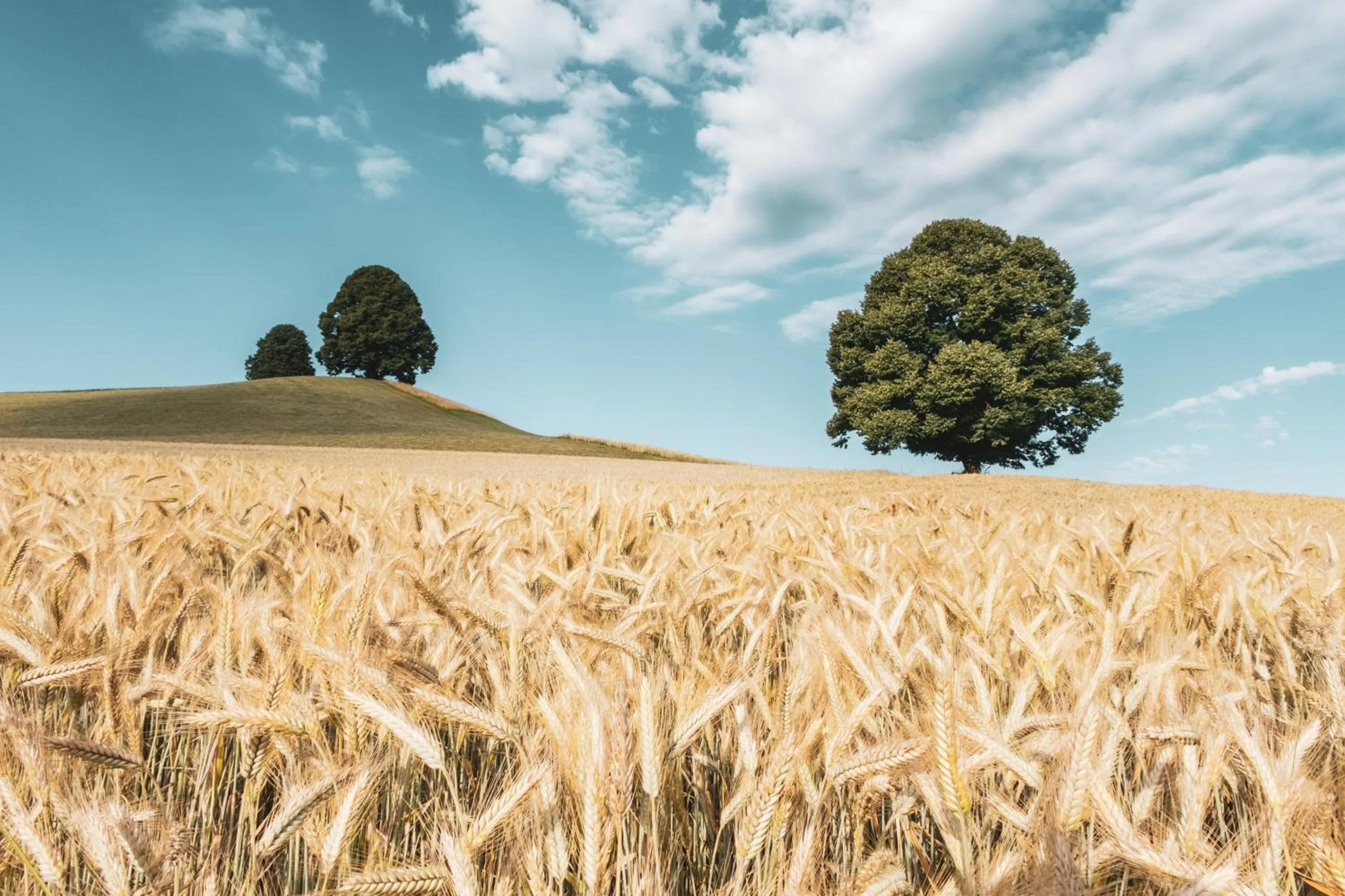 Spring in Romantik Hotel Bären Dürrenroth