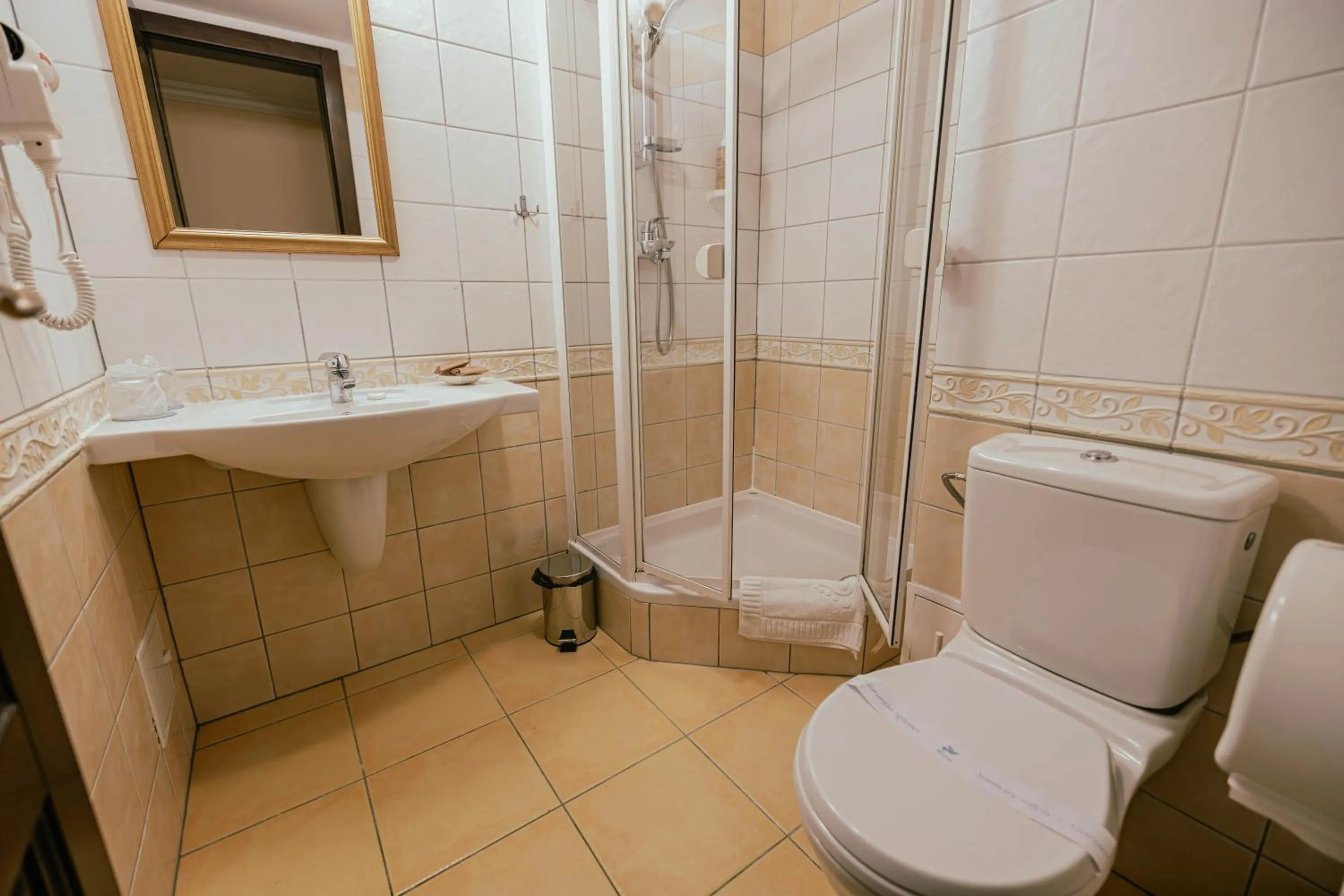 Shower in Casa del Sole Boutique Hotel Timisoara