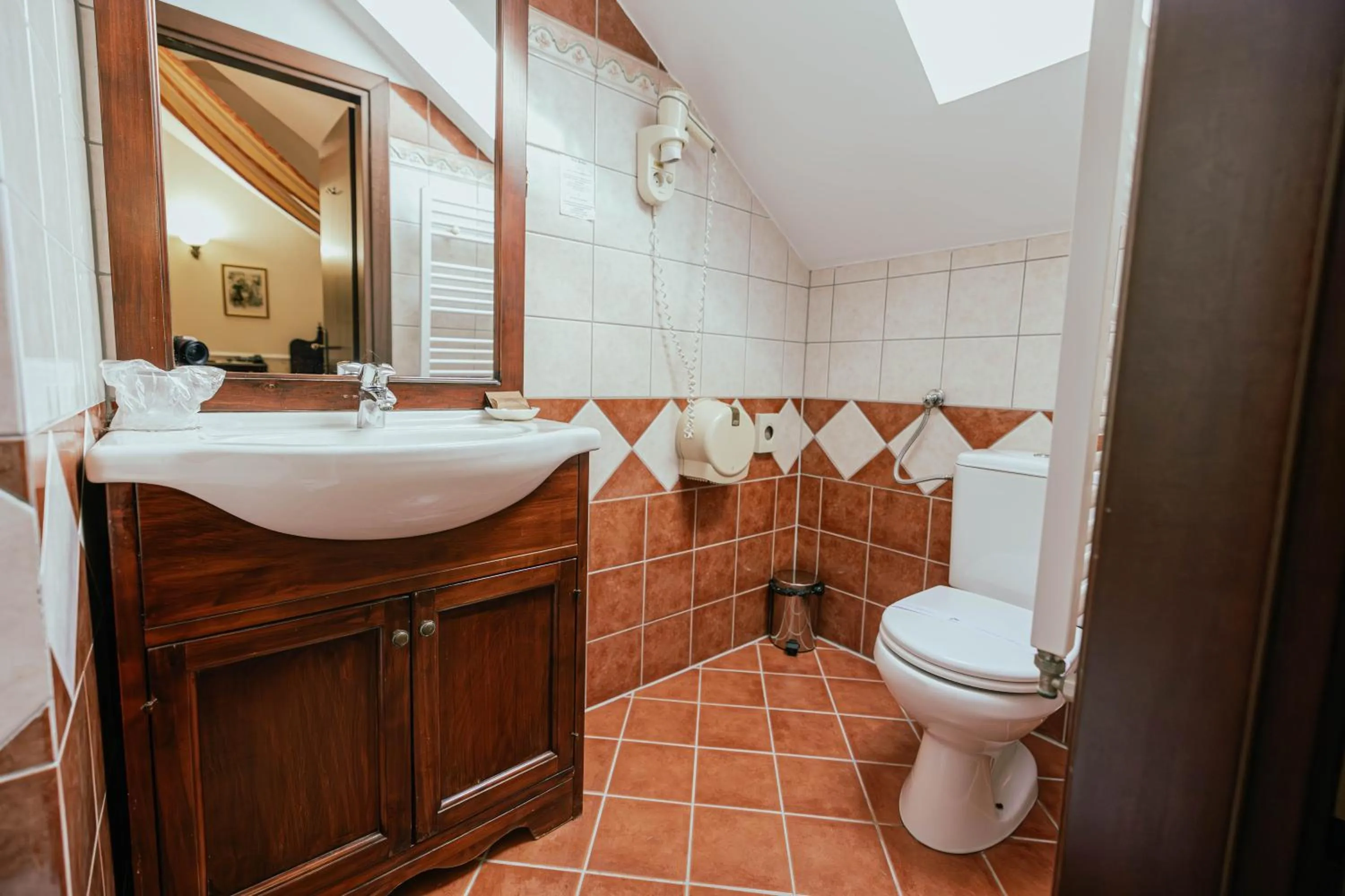 Bathroom in Casa del Sole Boutique Hotel Timisoara