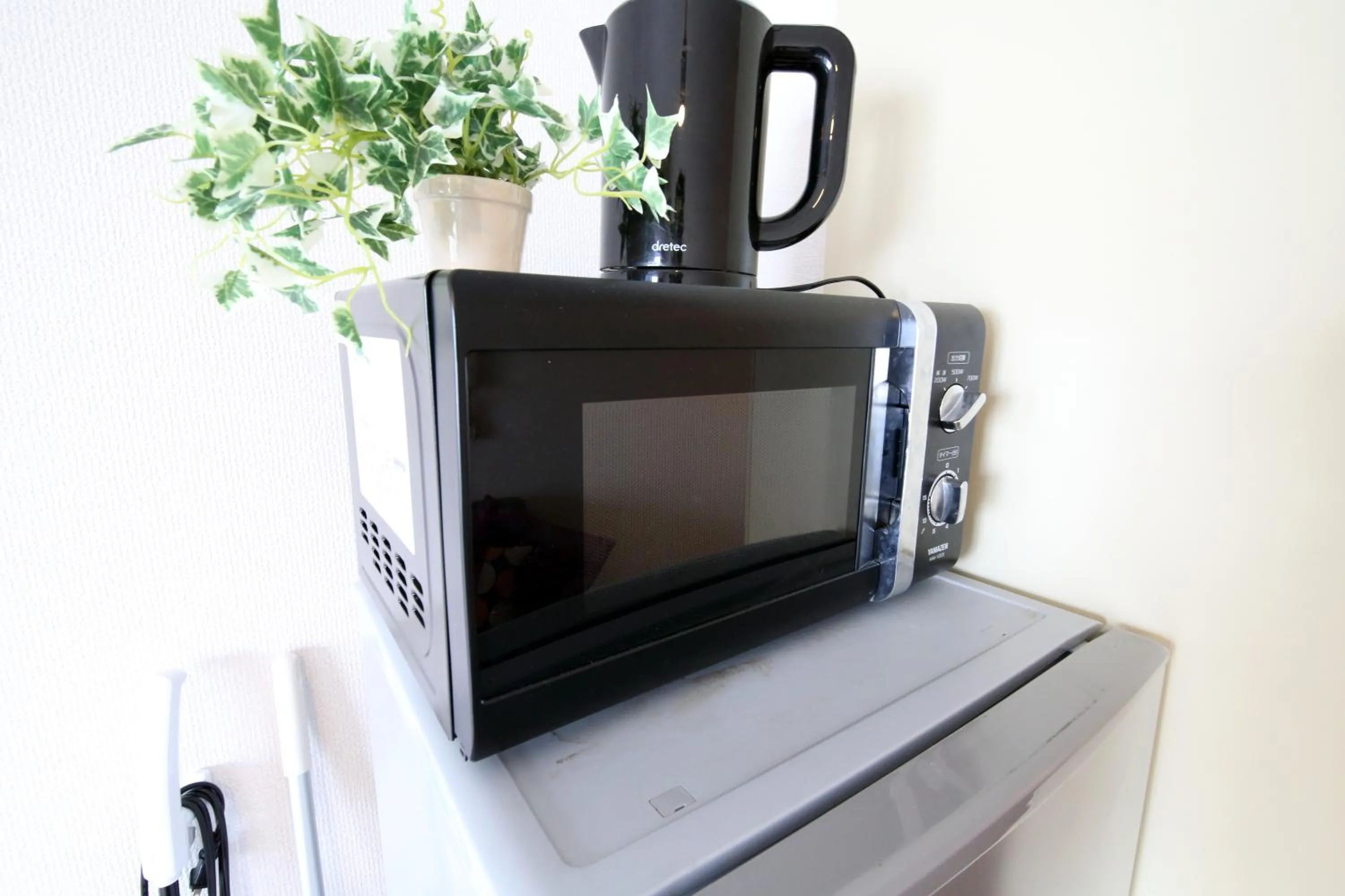 Exsaison Shirokita 803