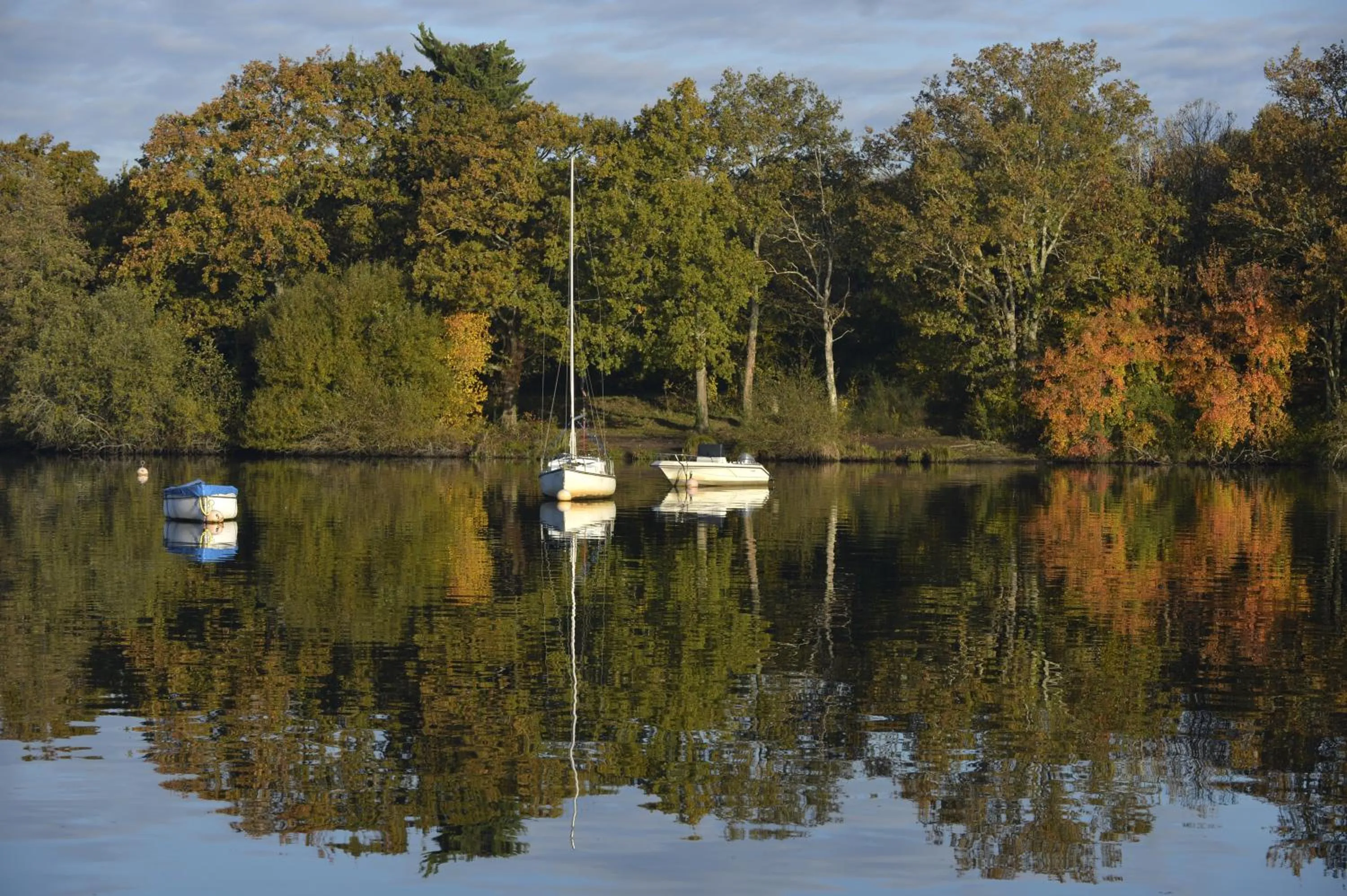 View (from property/room) in Best Western Plus Hotel De La Regate-Erdre