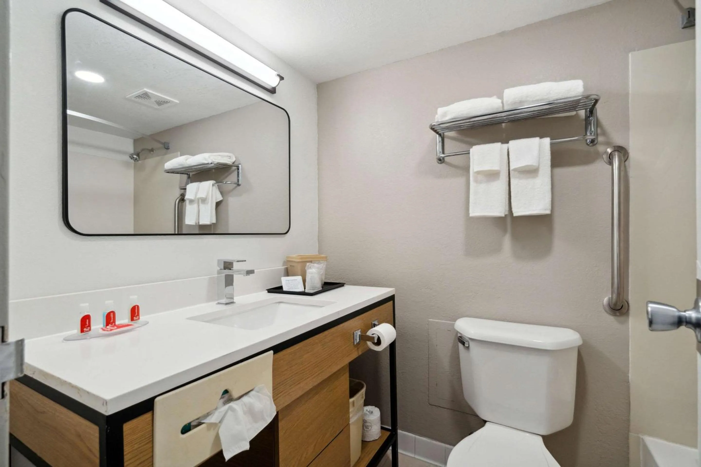 Bathroom in Econo Lodge Inn & Suites Waterloo Downtown