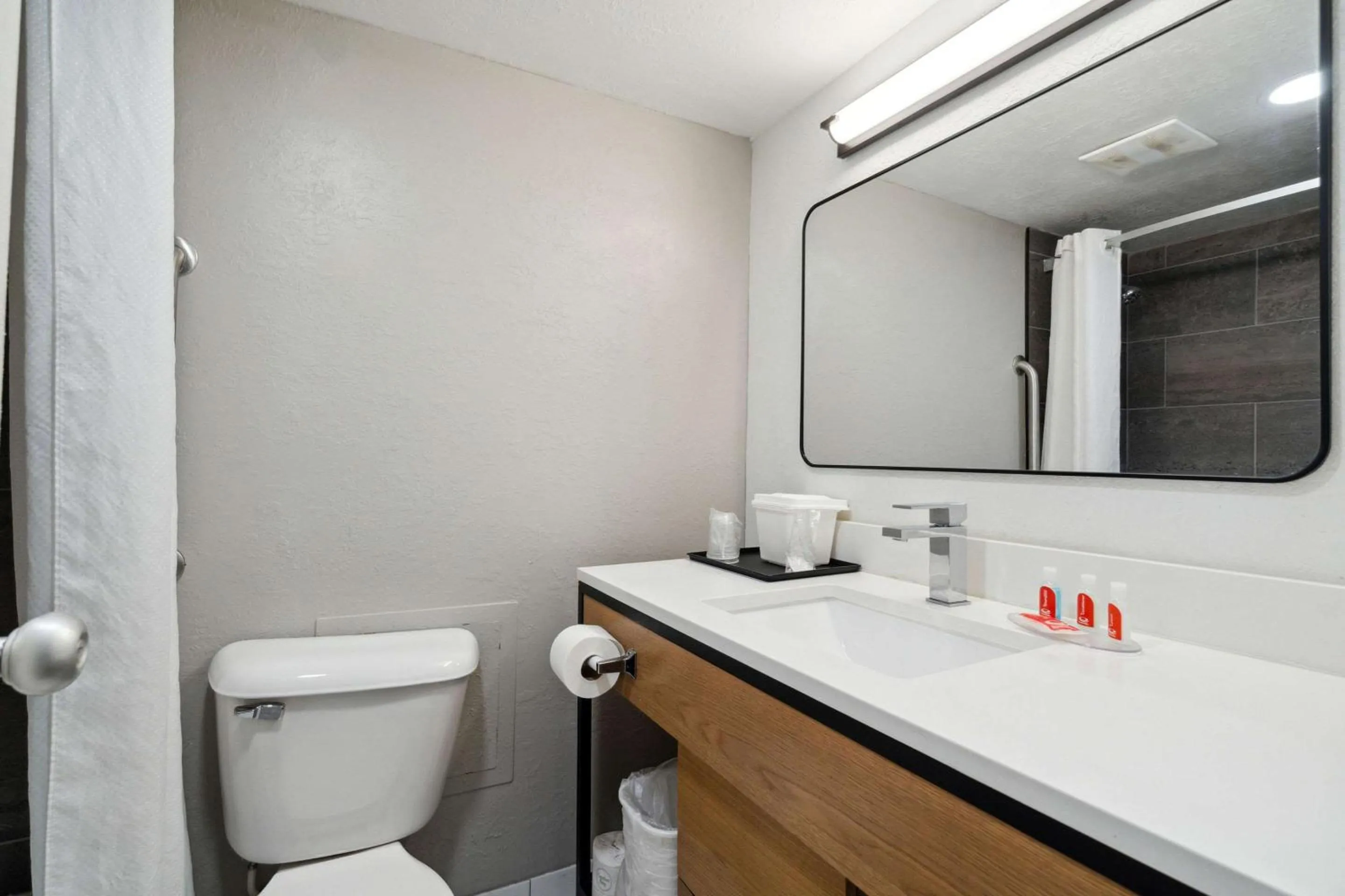 Bathroom in Econo Lodge Inn & Suites Waterloo Downtown