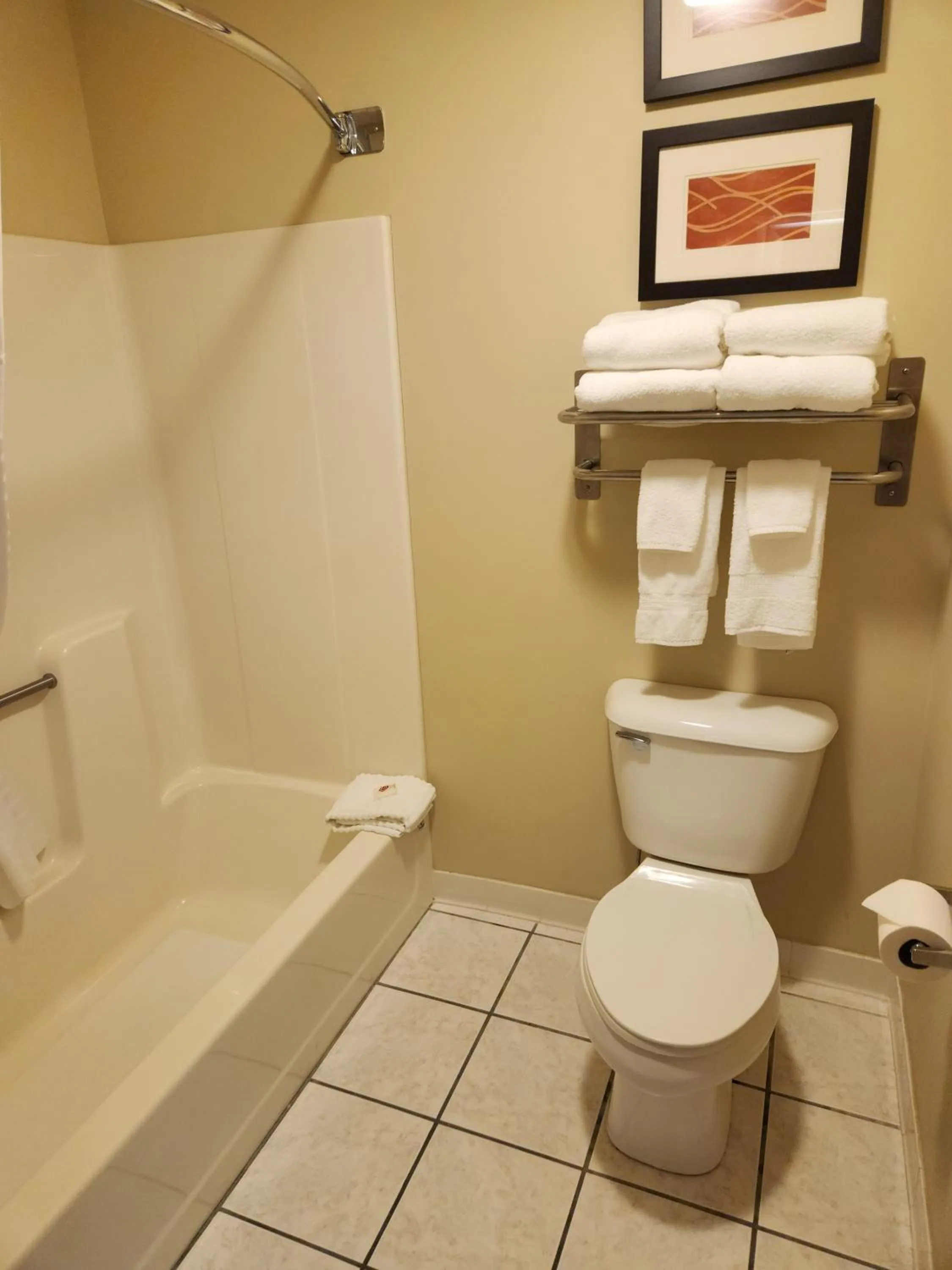 Bathroom in Comfort Inn & Suites Riverview near Davenport and I-80