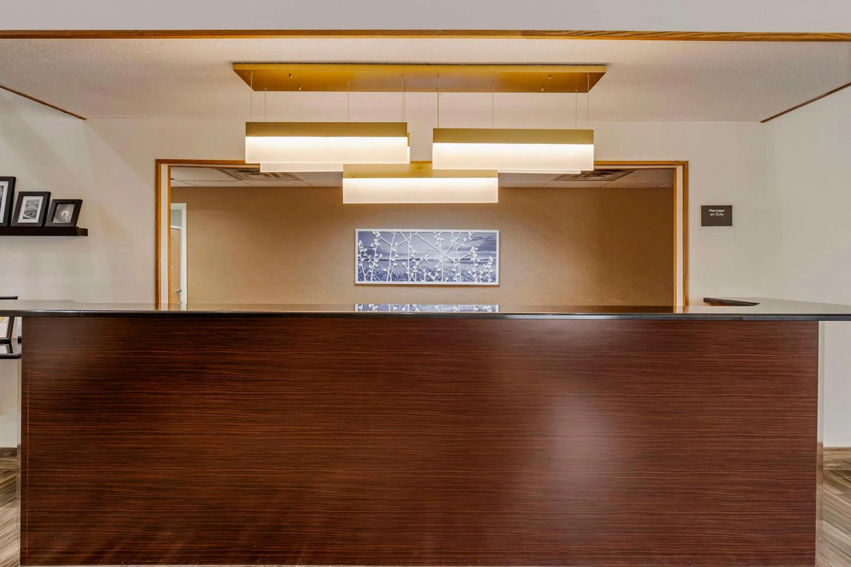 Lobby or reception in Sleep Inn & Suites Charles City