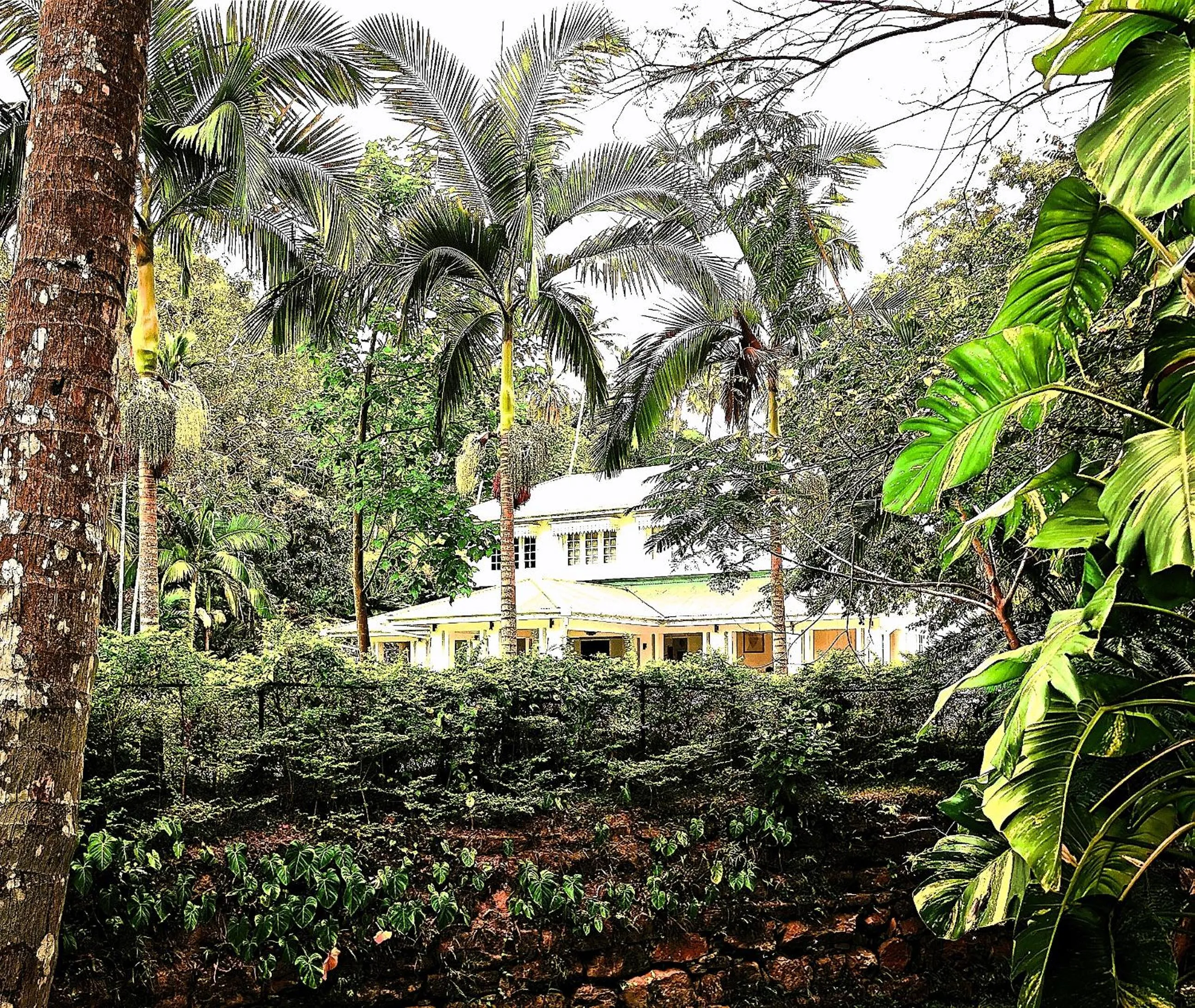 Natural landscape in The Flame Tree Estate & Hotel