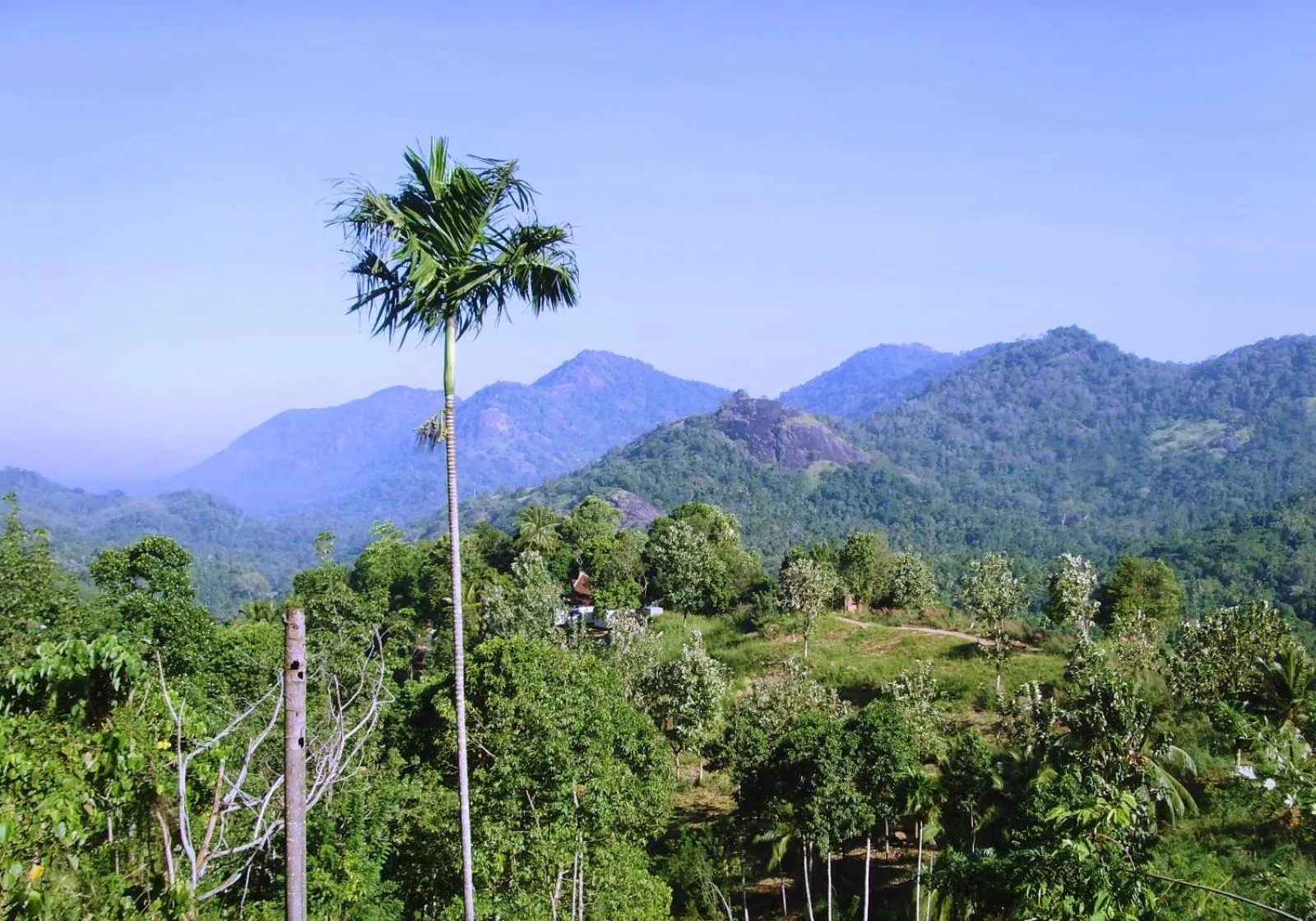 Natural landscape in The Flame Tree Estate & Hotel