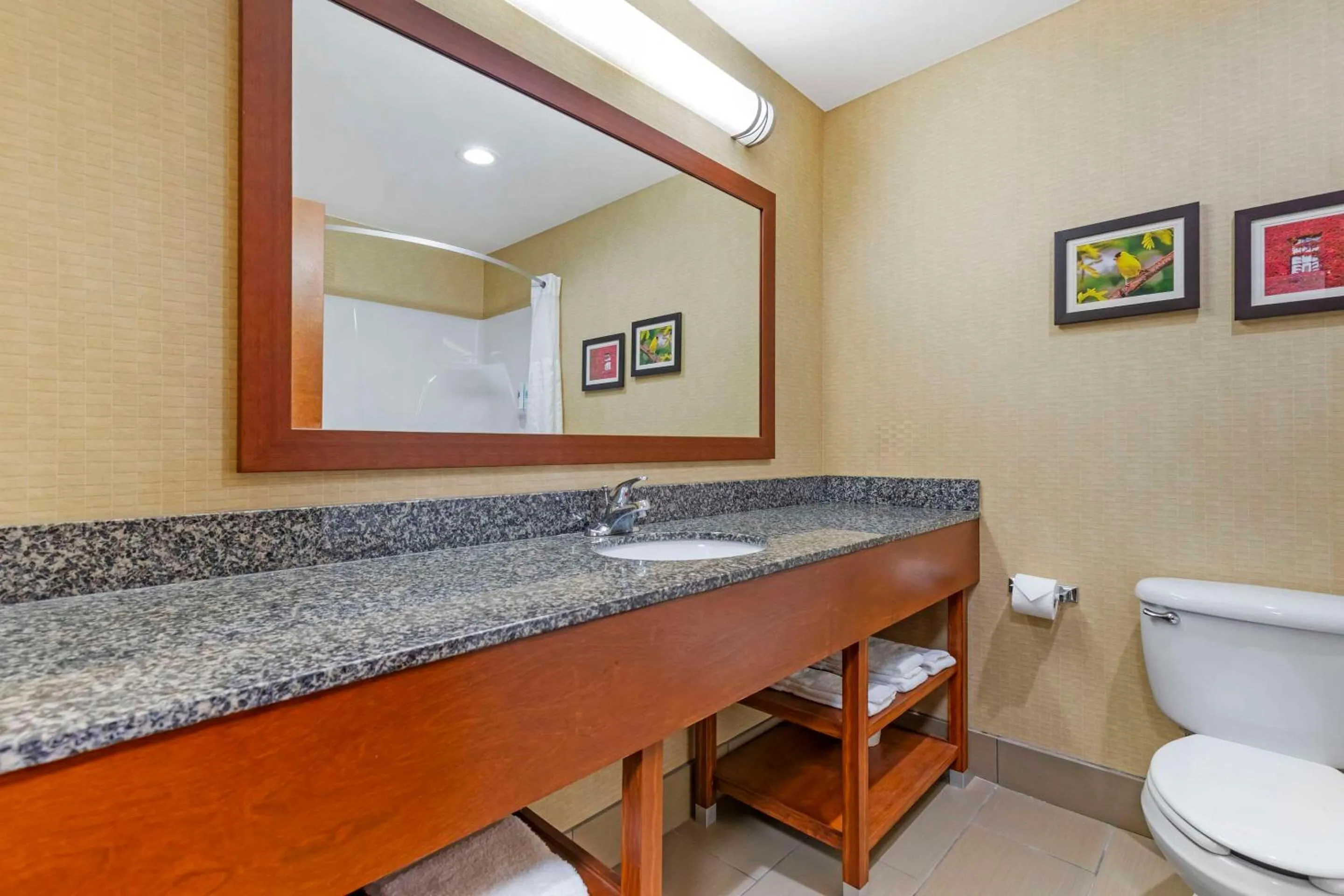 Bedroom in Comfort Inn & Suites Grinnell near I-80