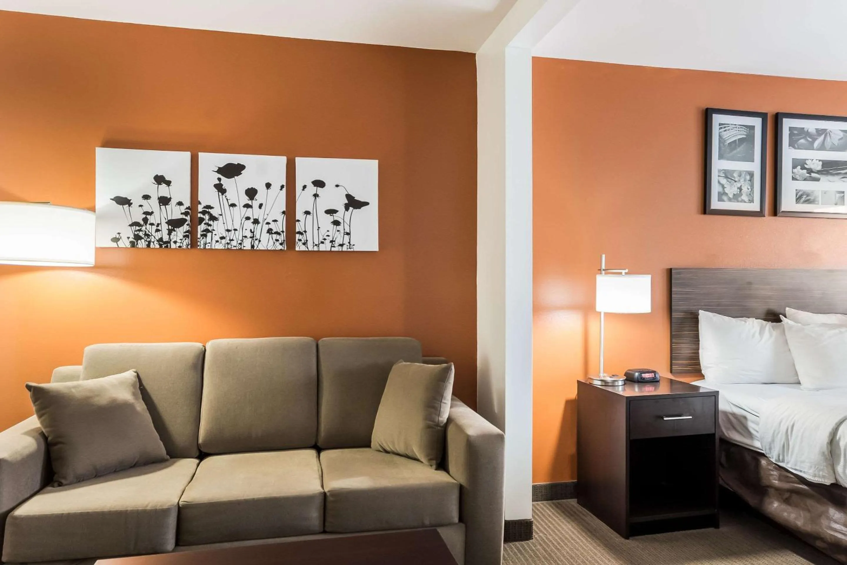 Photo of the whole room, Bed in Sleep Inn & Suites North Liberty - Liberty City