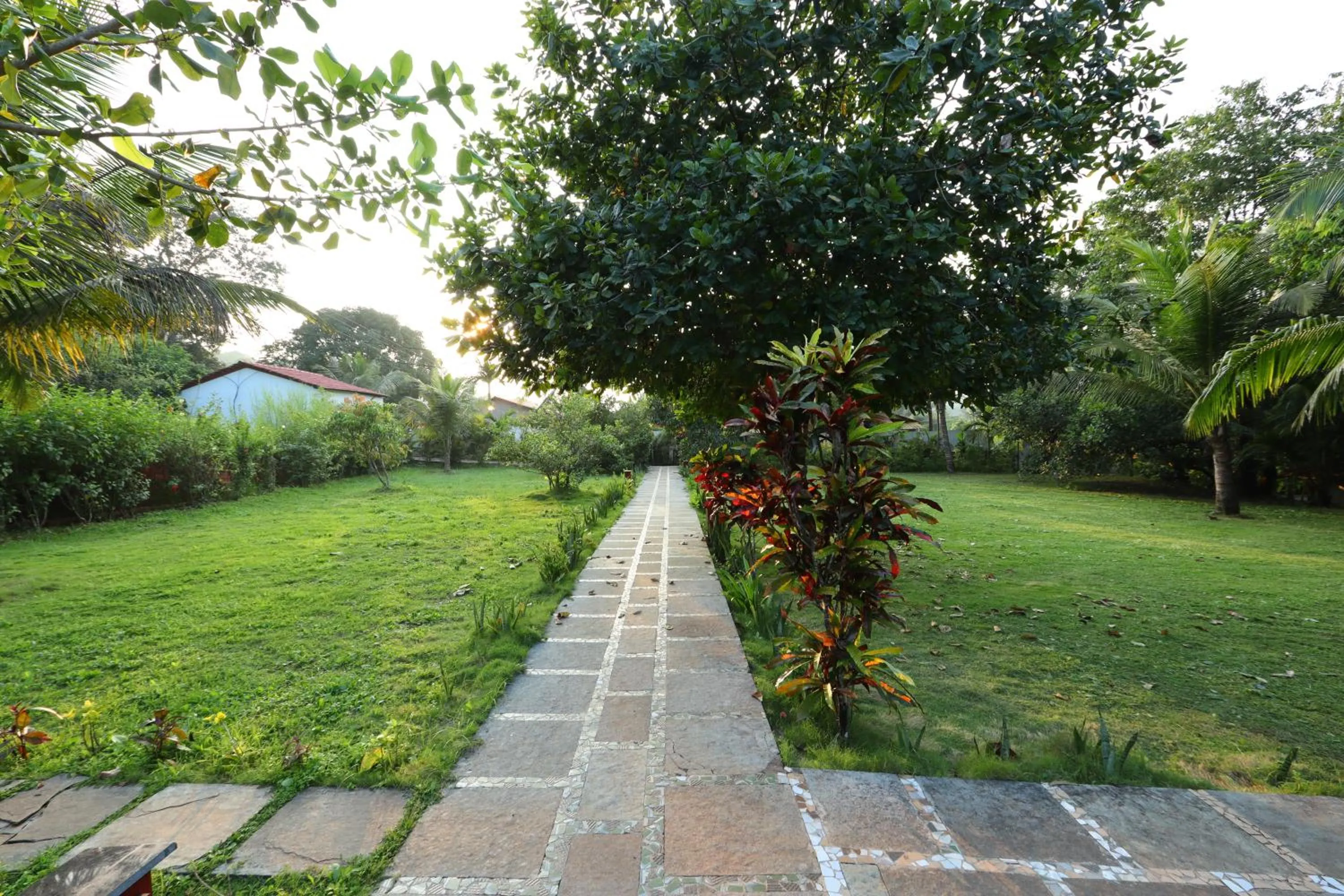 Garden in Wild Berry Resort Agonda