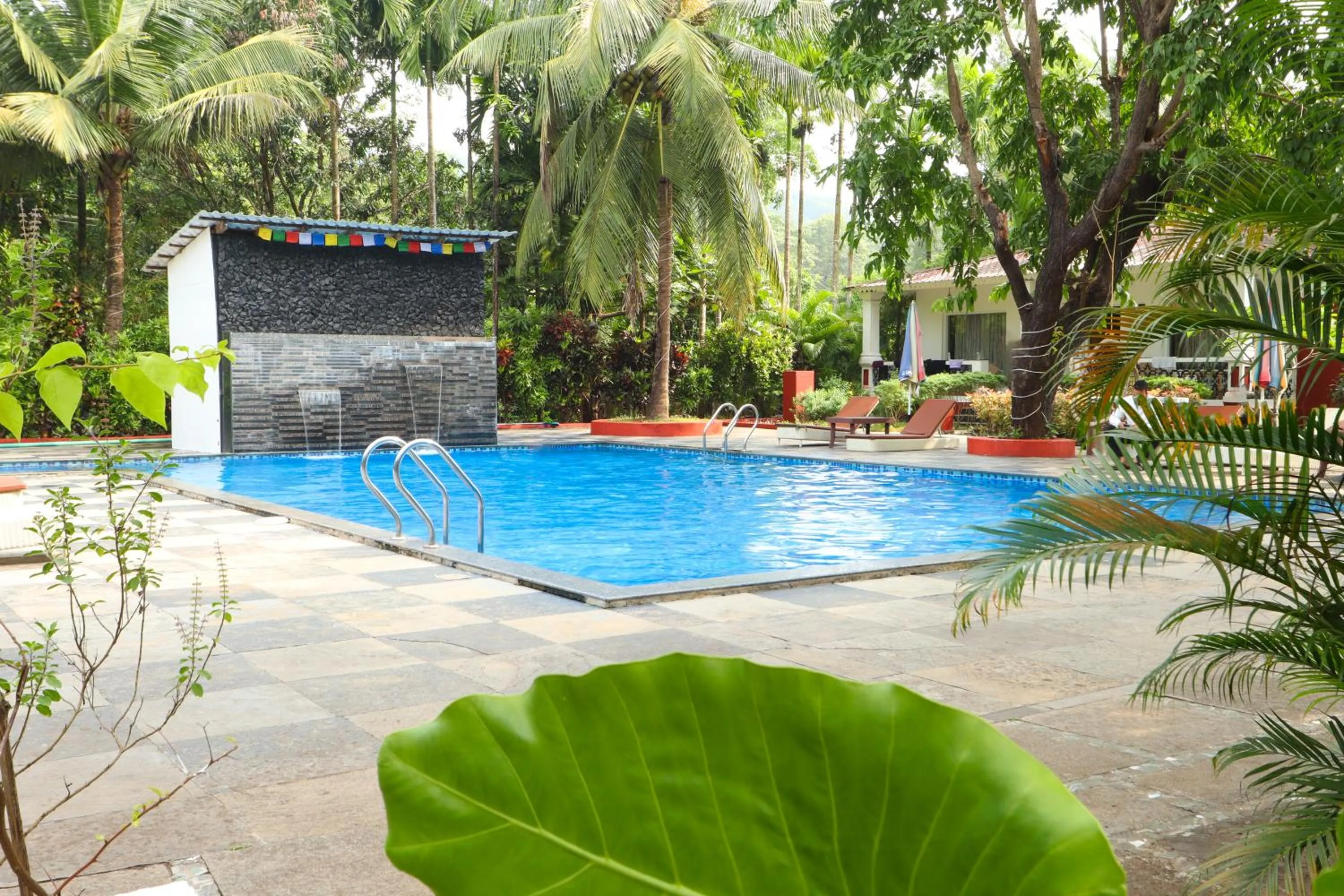 Swimming pool in Wild Berry Resort Agonda