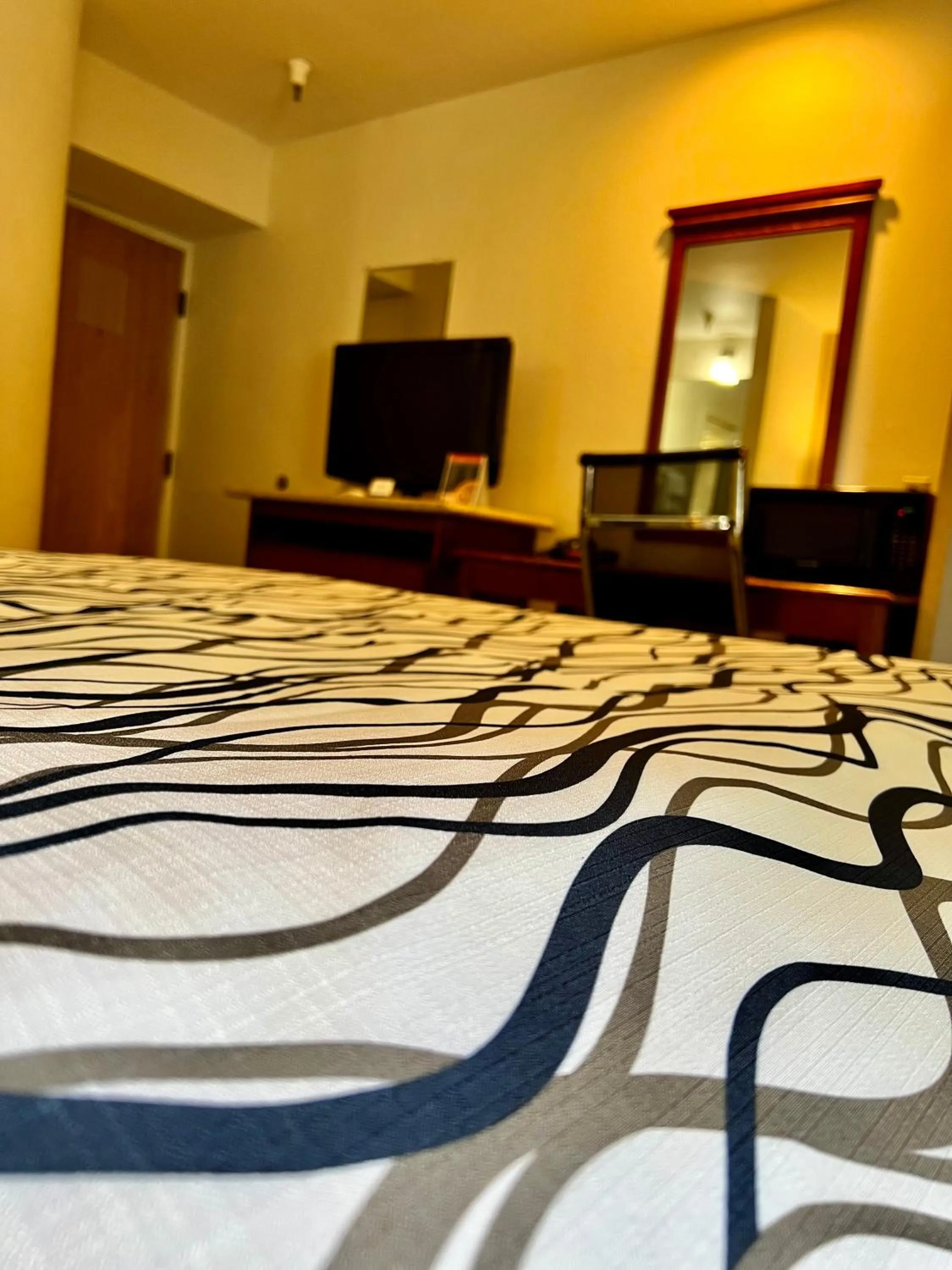 TV and multimedia in Rodeway Inn Boise Airport