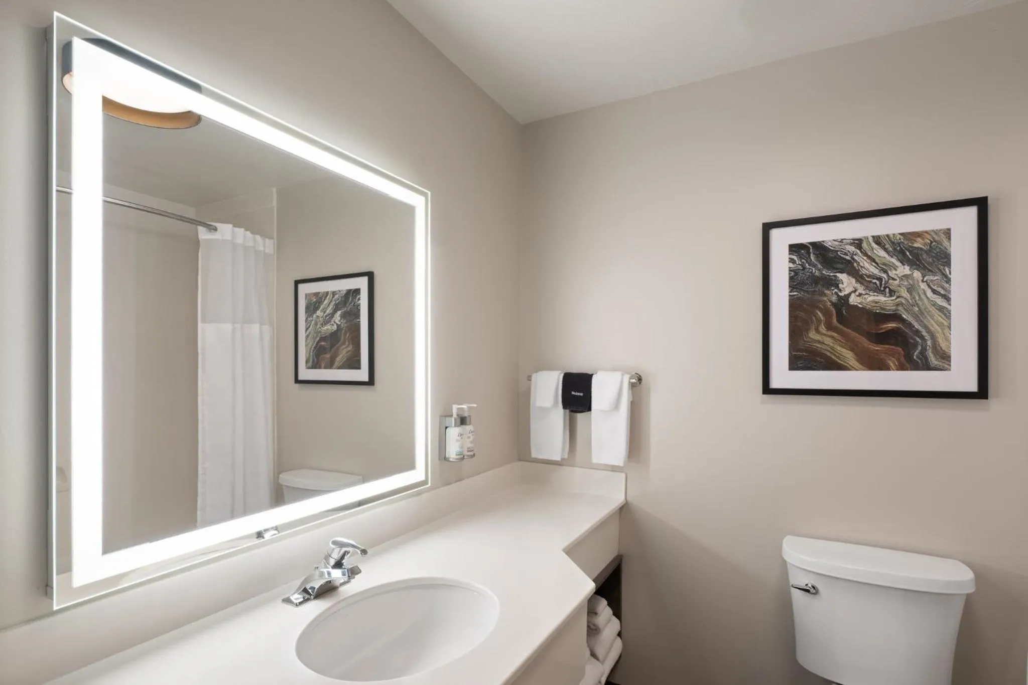 Bathroom in Garner Hotel Idaho Falls Southwest by IHG