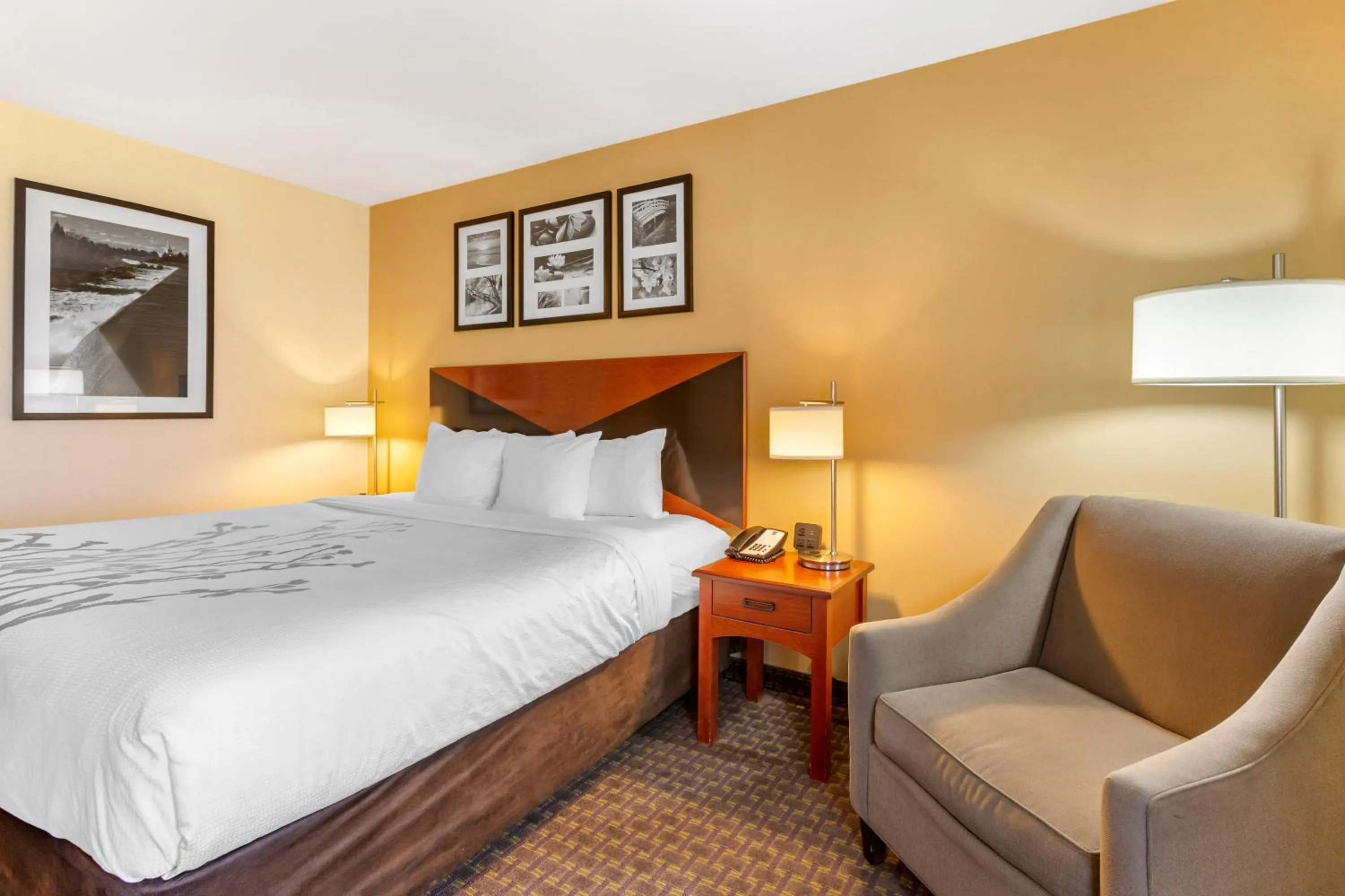 King Suite - Non-Smoking/Pet-Friendly in Garner Hotel Idaho Falls Southwest by IHG