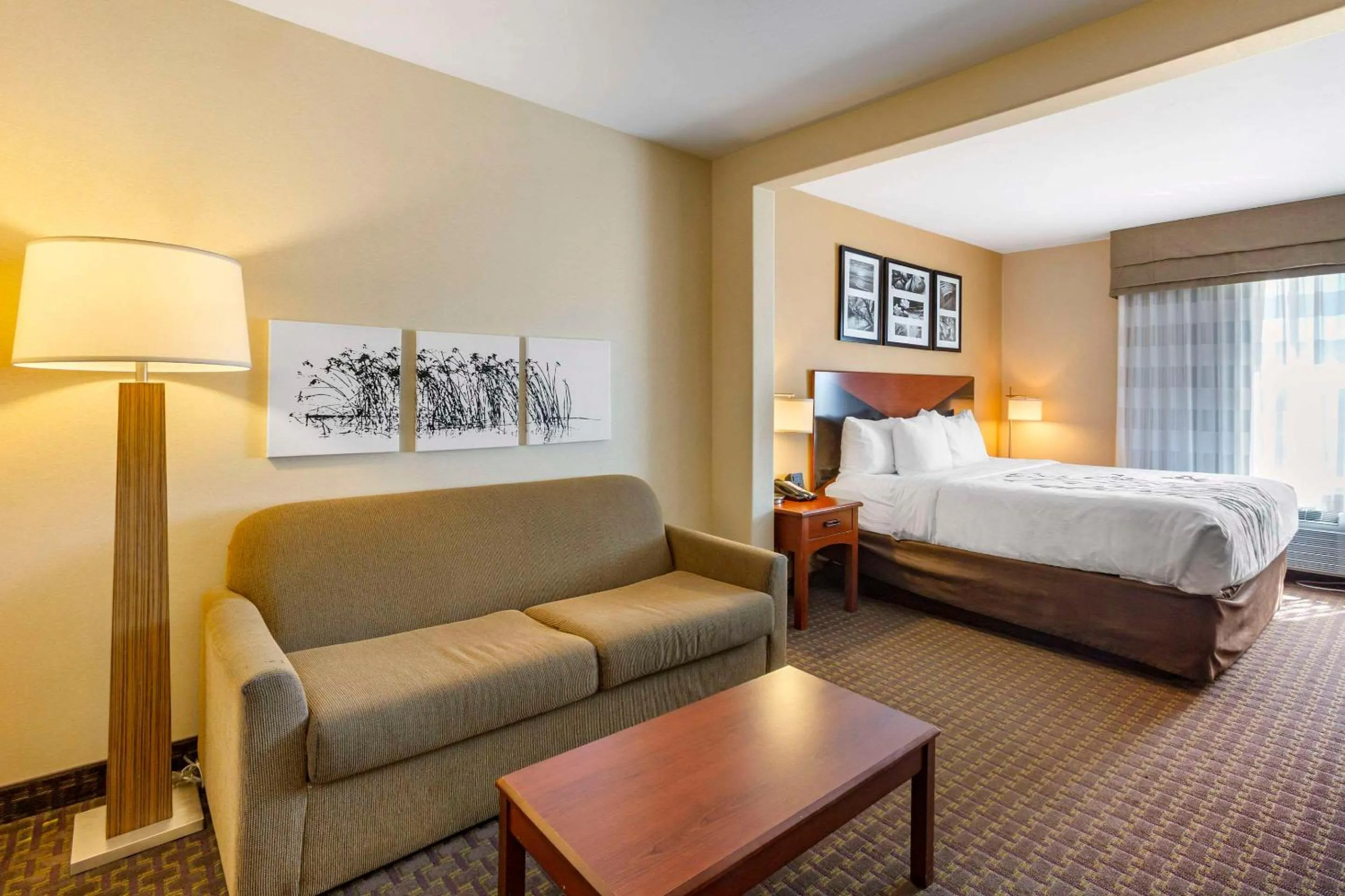 King Suite - Non-Smoking in Garner Hotel Idaho Falls Southwest by IHG