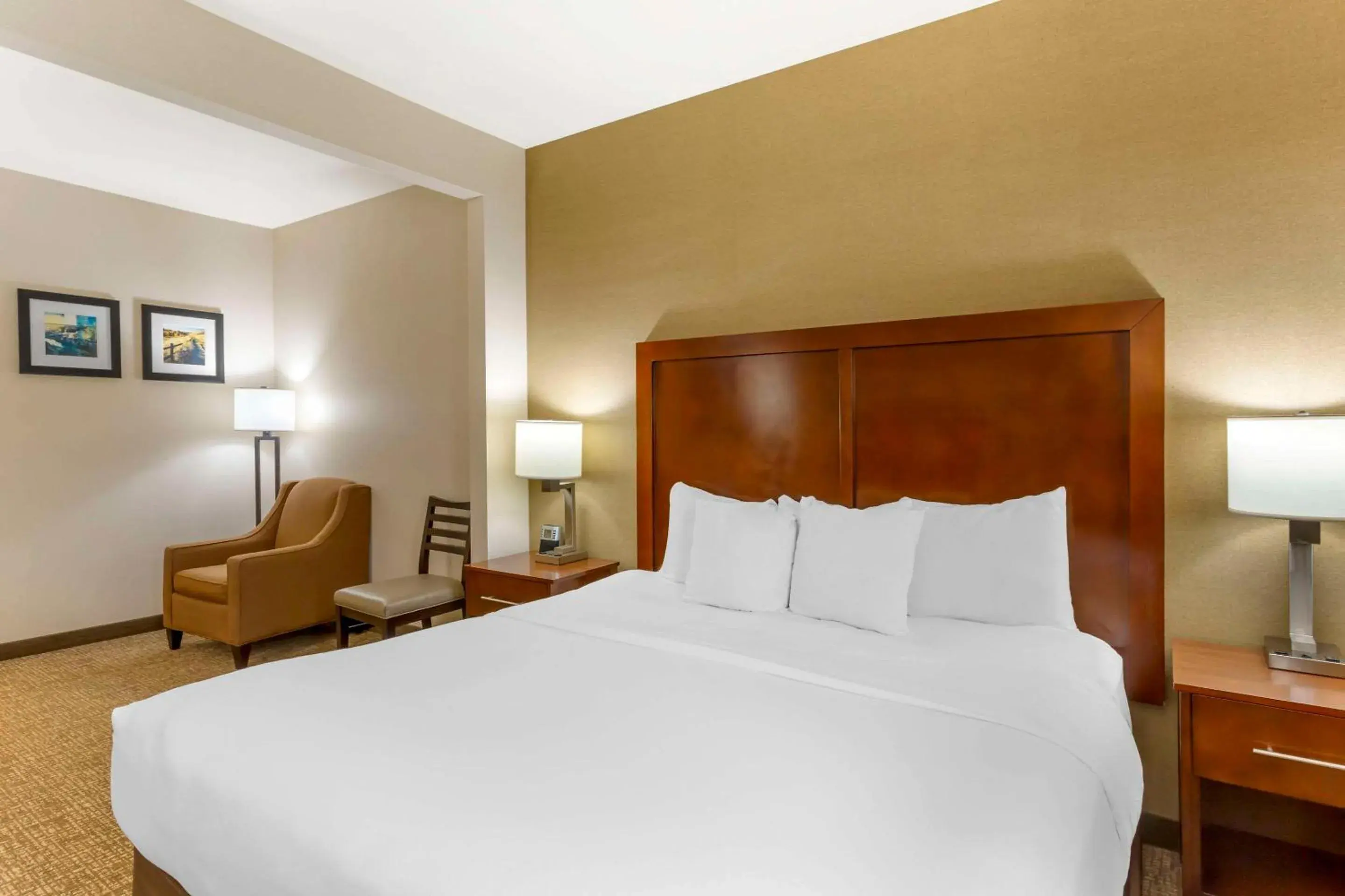 King Room - Non-Smoking in Comfort Inn & Suites Jerome - Twin Falls King Room - Non-Smoking in Comfort Inn & Suites Jerome - Twin Falls