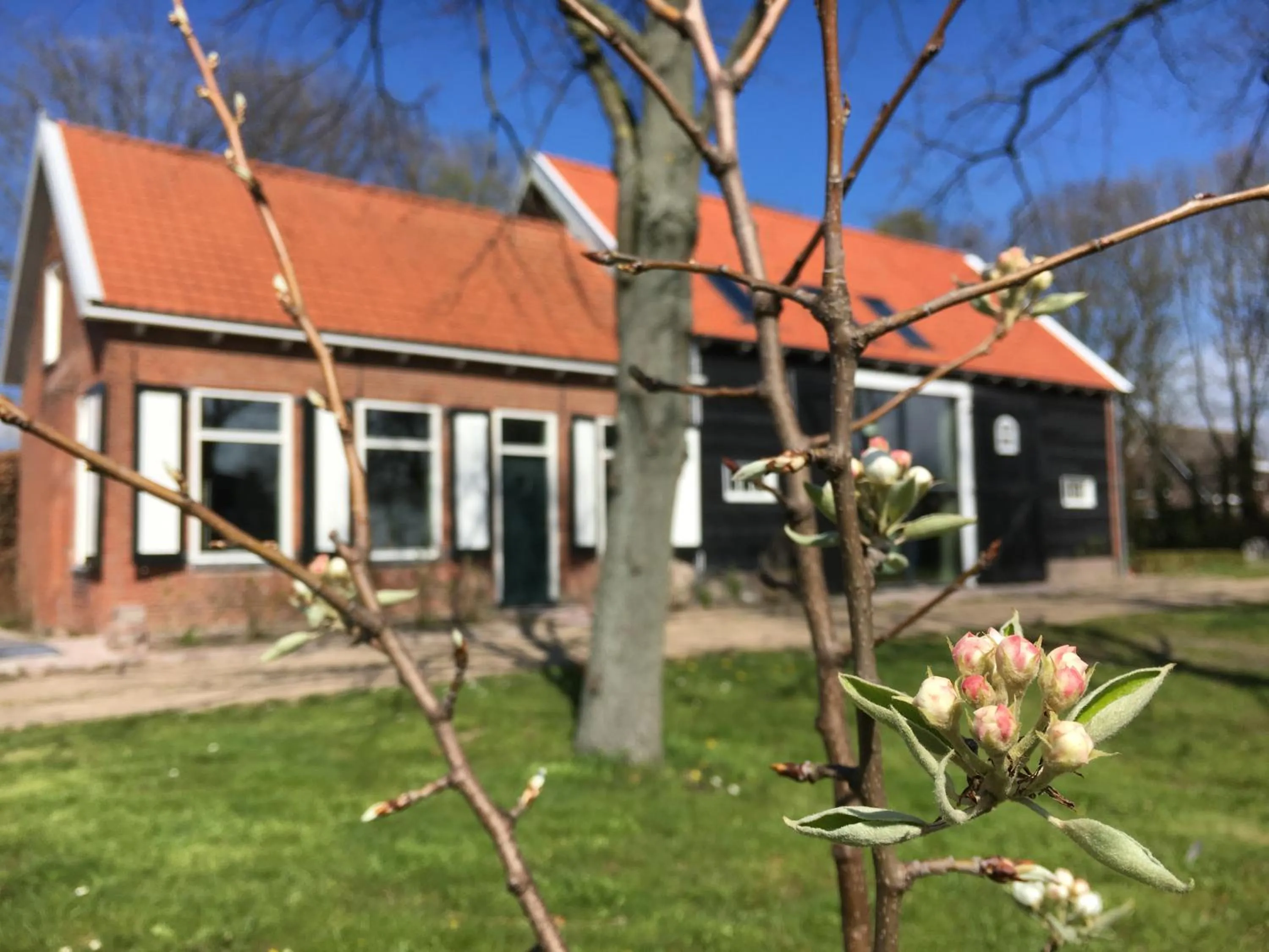 Property building in B&B Boerderij De Vaete - Duurzaam genieten in de zak van Zuid-Beveland