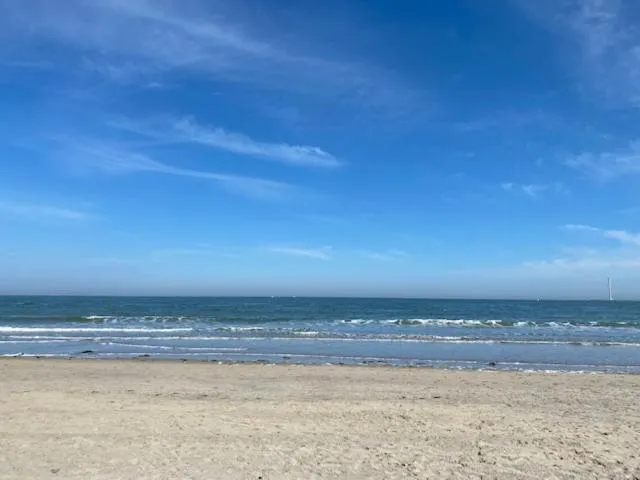 Beach in B&B Boerderij De Vaete - Duurzaam genieten in de zak van Zuid-Beveland