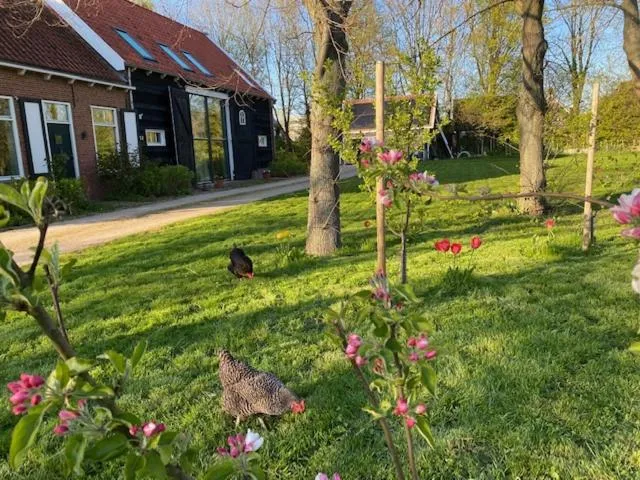 Property building in B&B Boerderij De Vaete - Duurzaam genieten in de zak van Zuid-Beveland