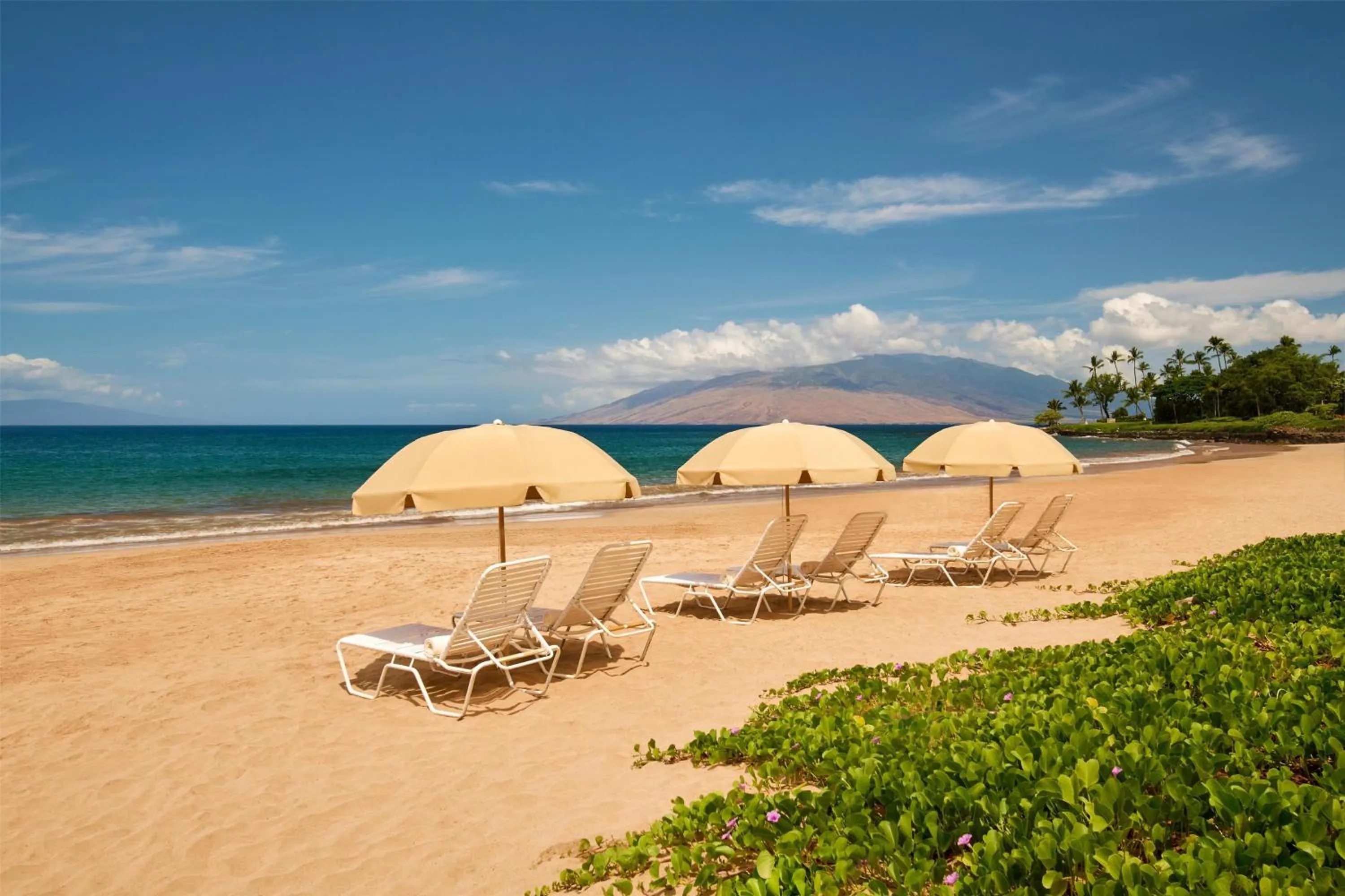 Beach in Grand Wailea Resort Hotel & Spa, A Waldorf Astoria Resort