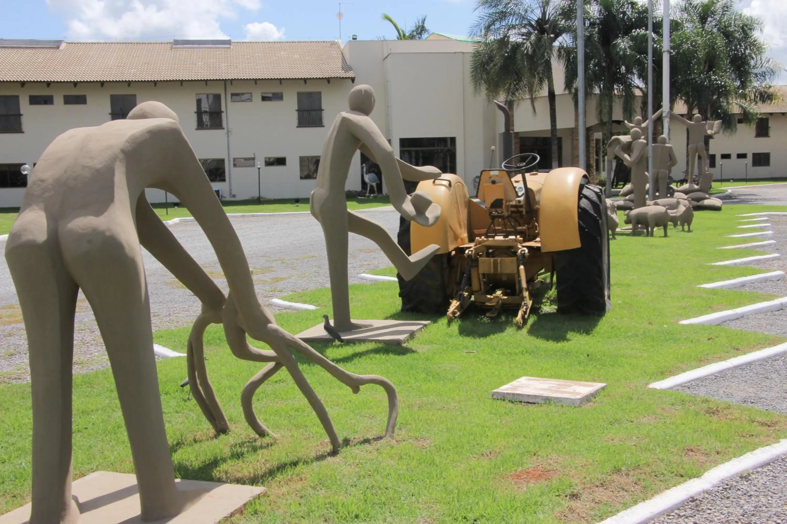 Garden in Terras Hotel