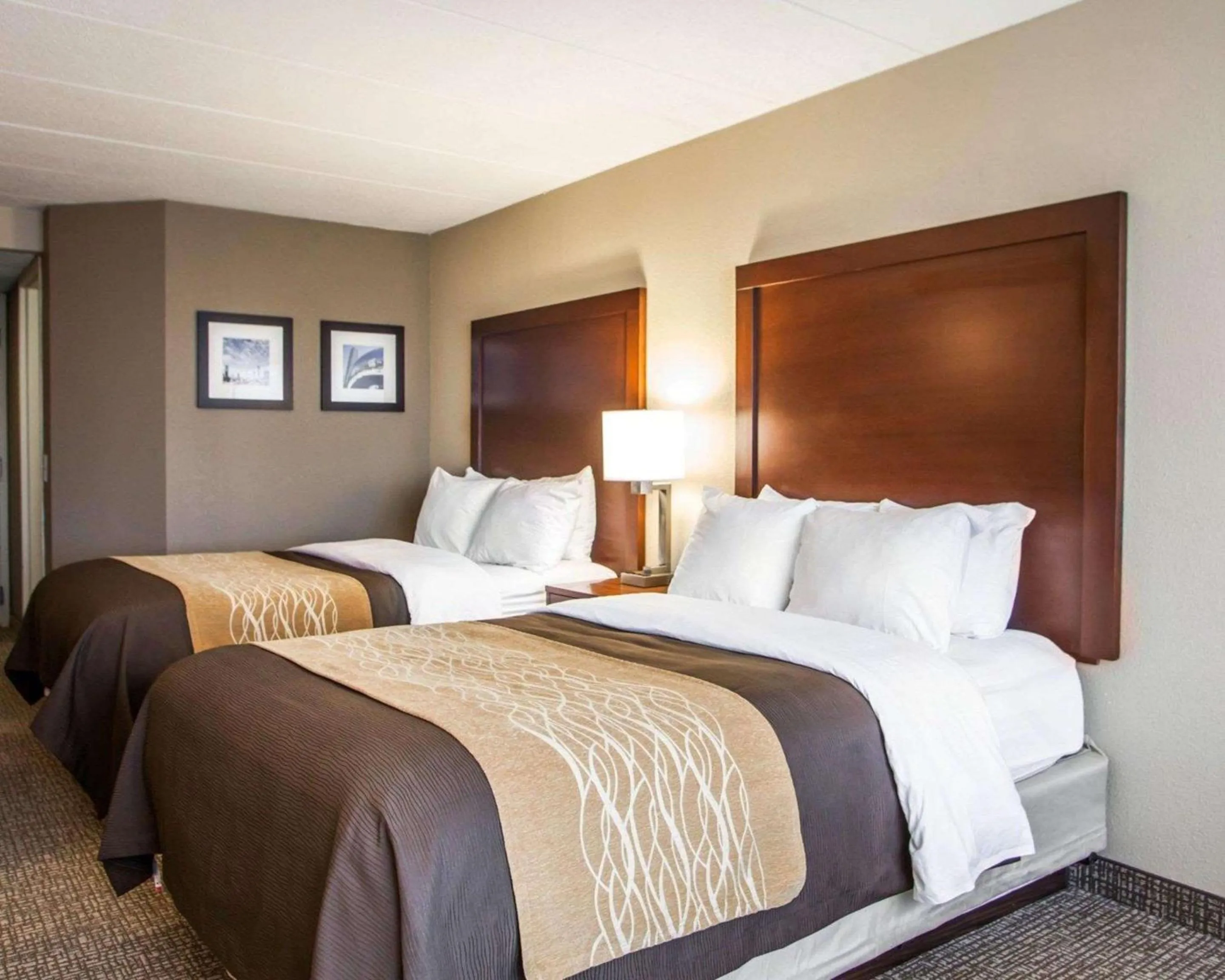 Bedroom, Bed in Quality Inn & Suites Orland Park - Chicago
