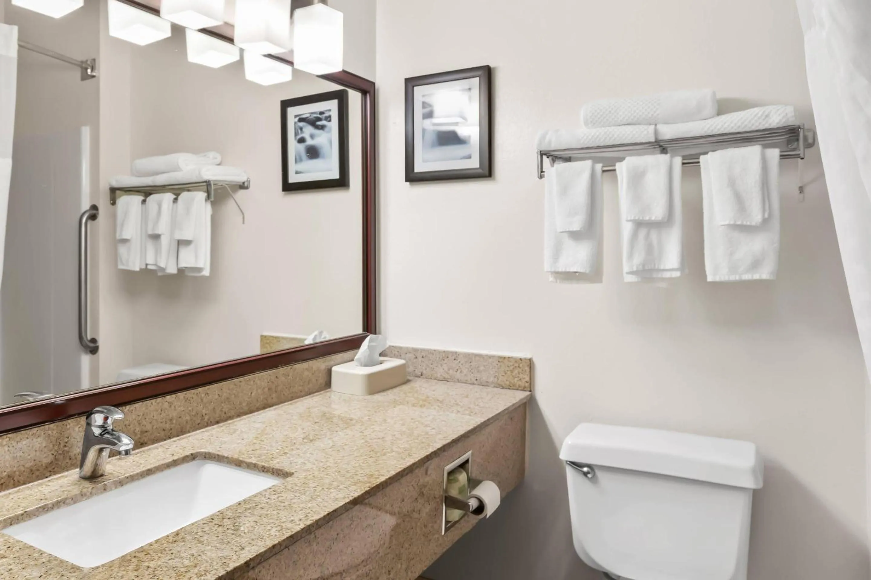 Bedroom in Quality Inn & Suites Springfield Southwest near I-72