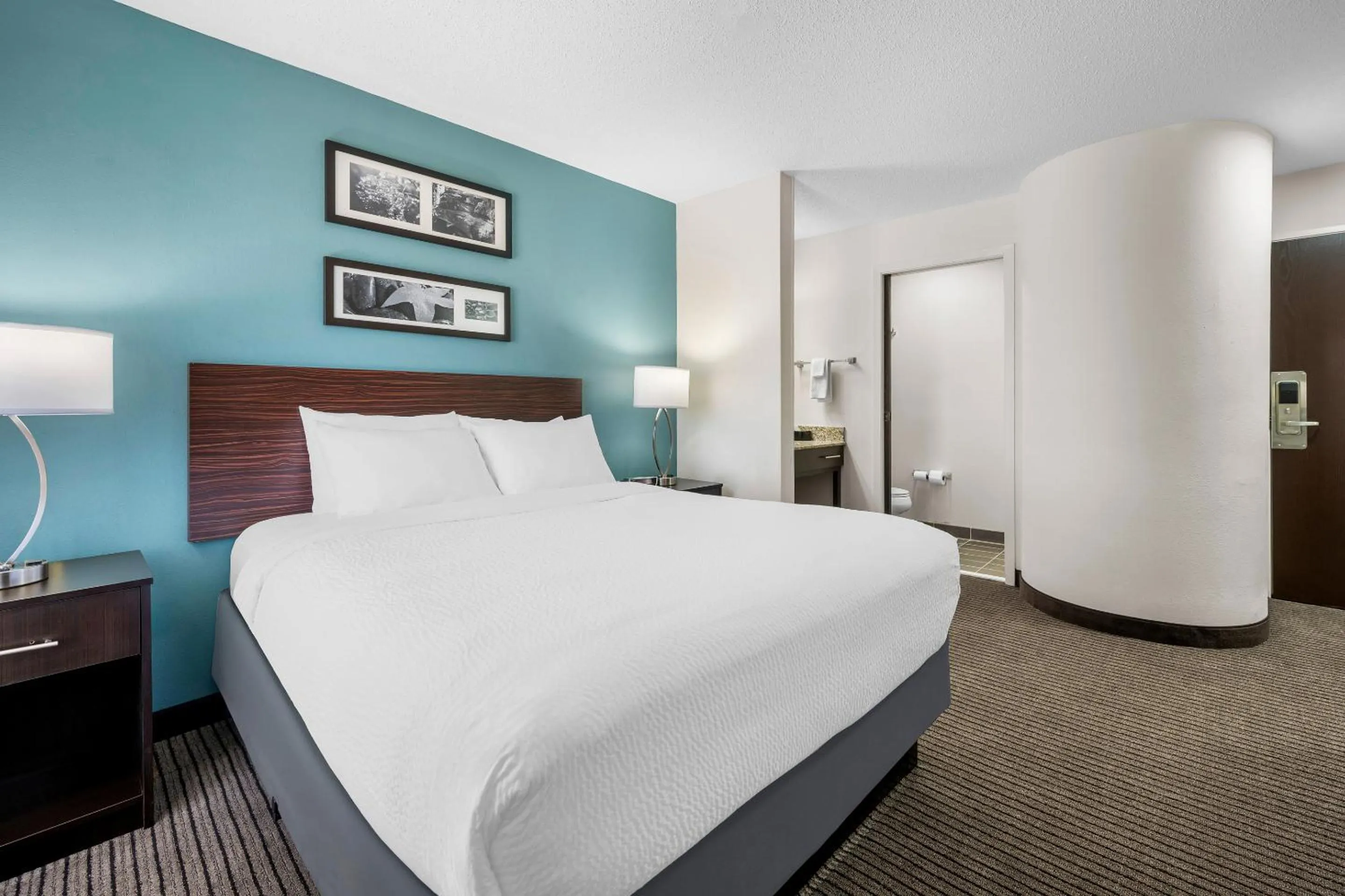 Bed in Sleep Inn Springfield West