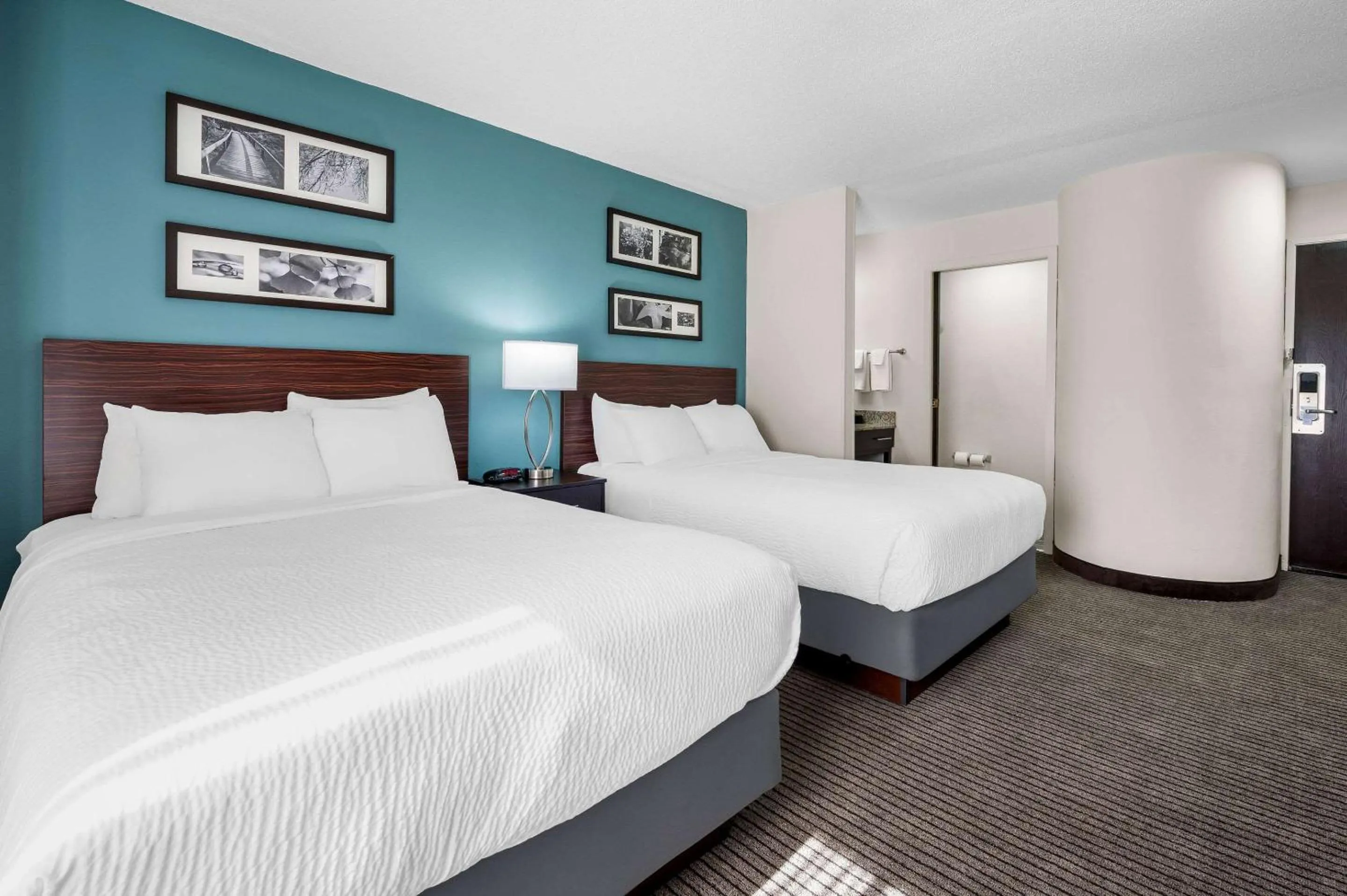 Bedroom, Bed in Sleep Inn Springfield West