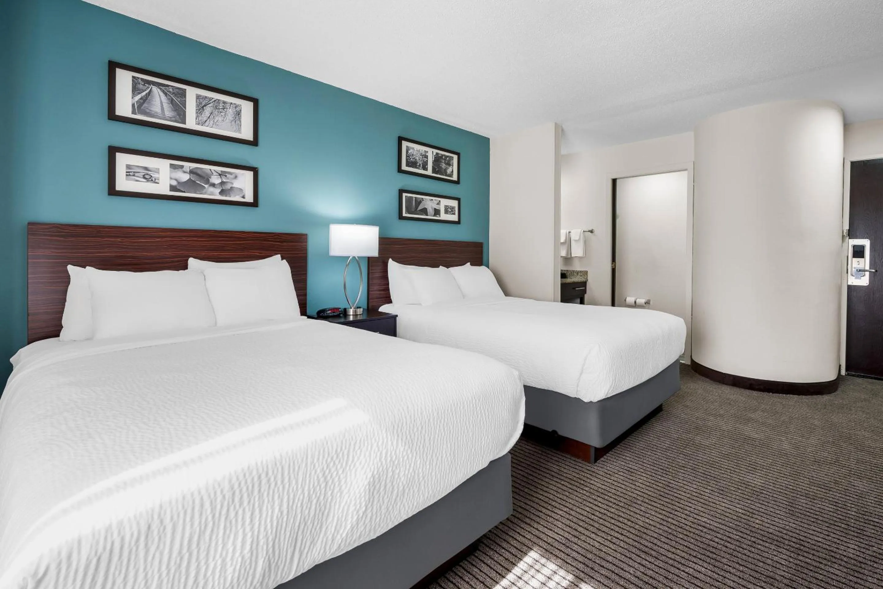 Bed in Sleep Inn Springfield West