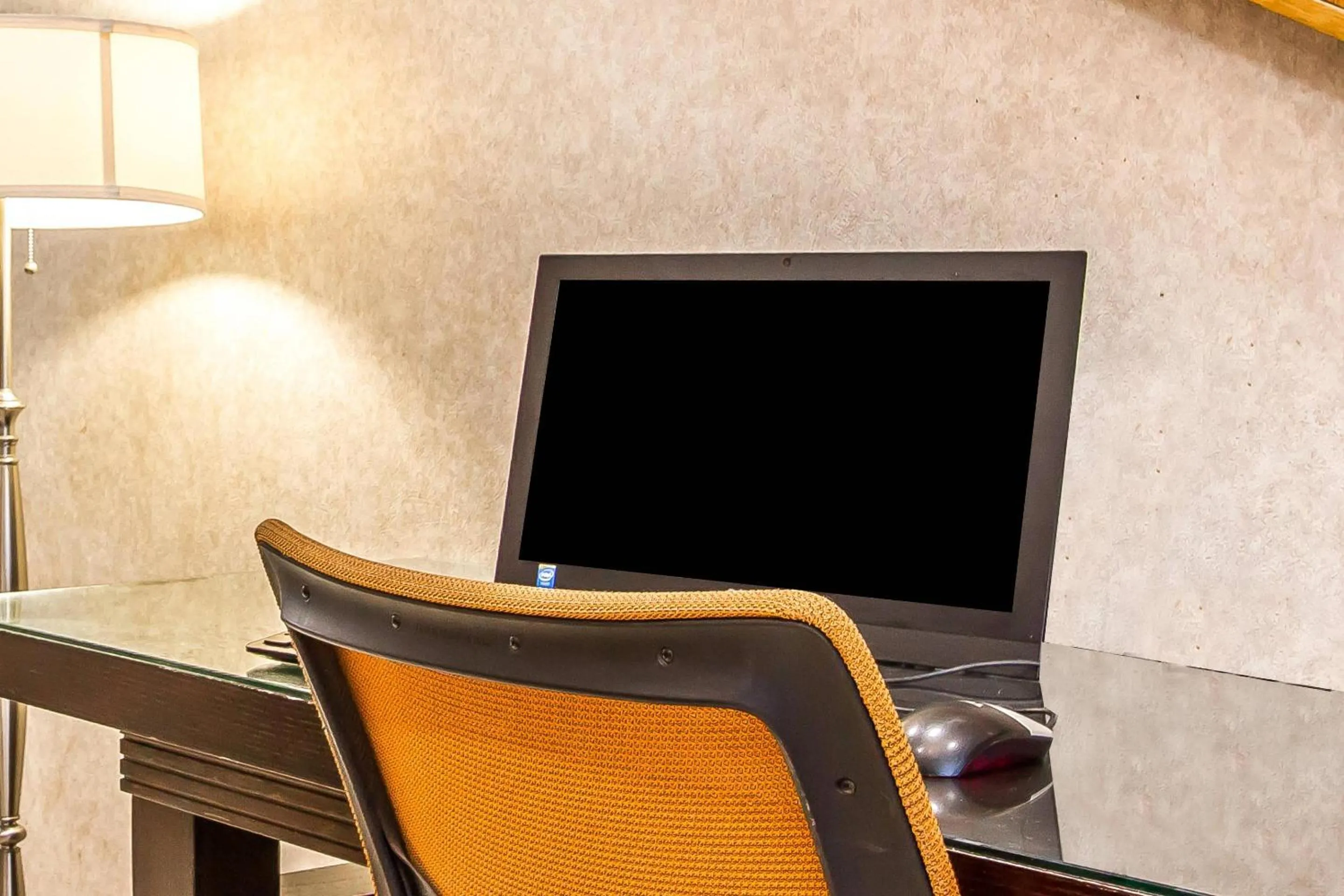 Business facilities in Rodeway Inn