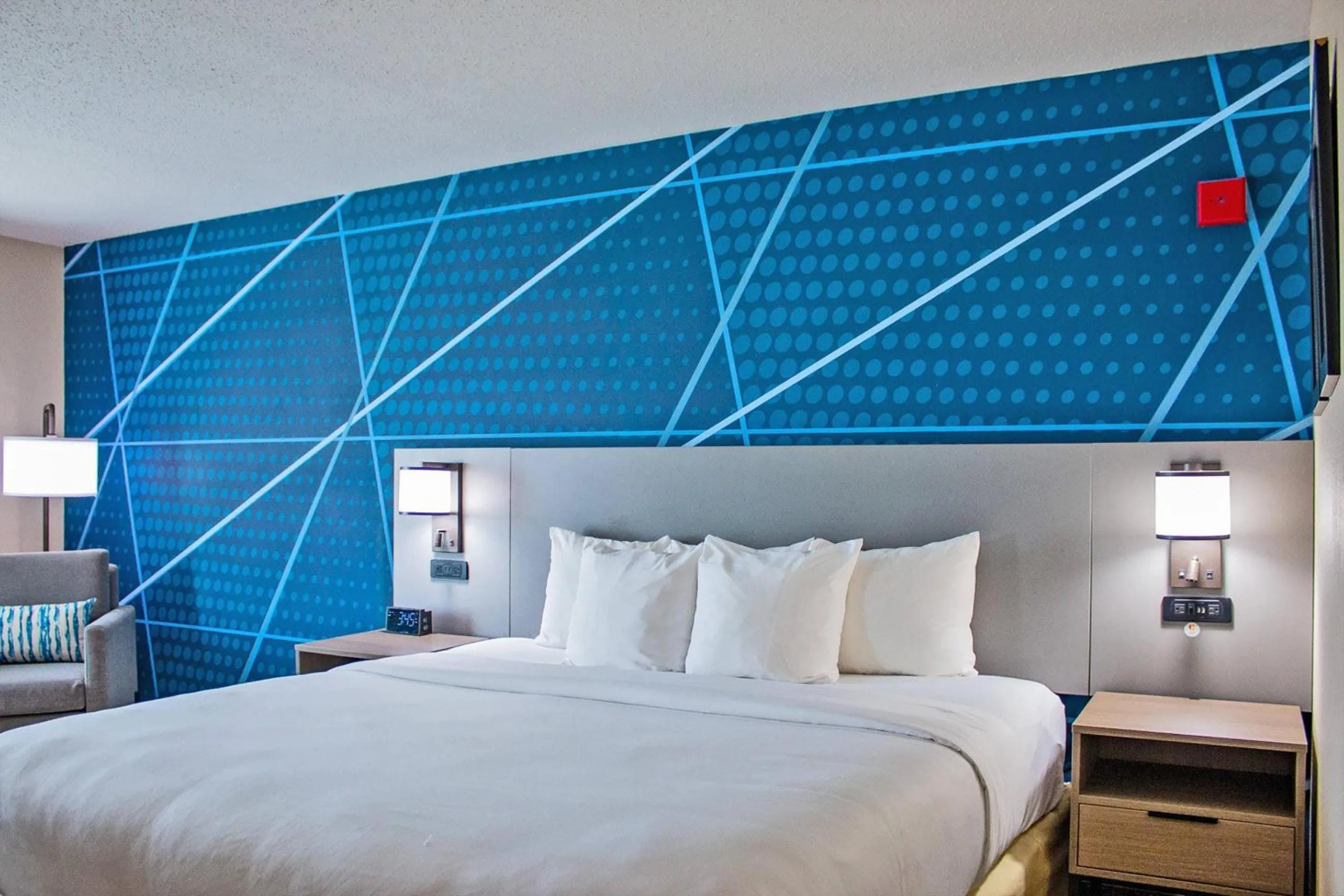 King Room - Non-Smoking in Comfort Inn & Suites Geneva- West Chicago