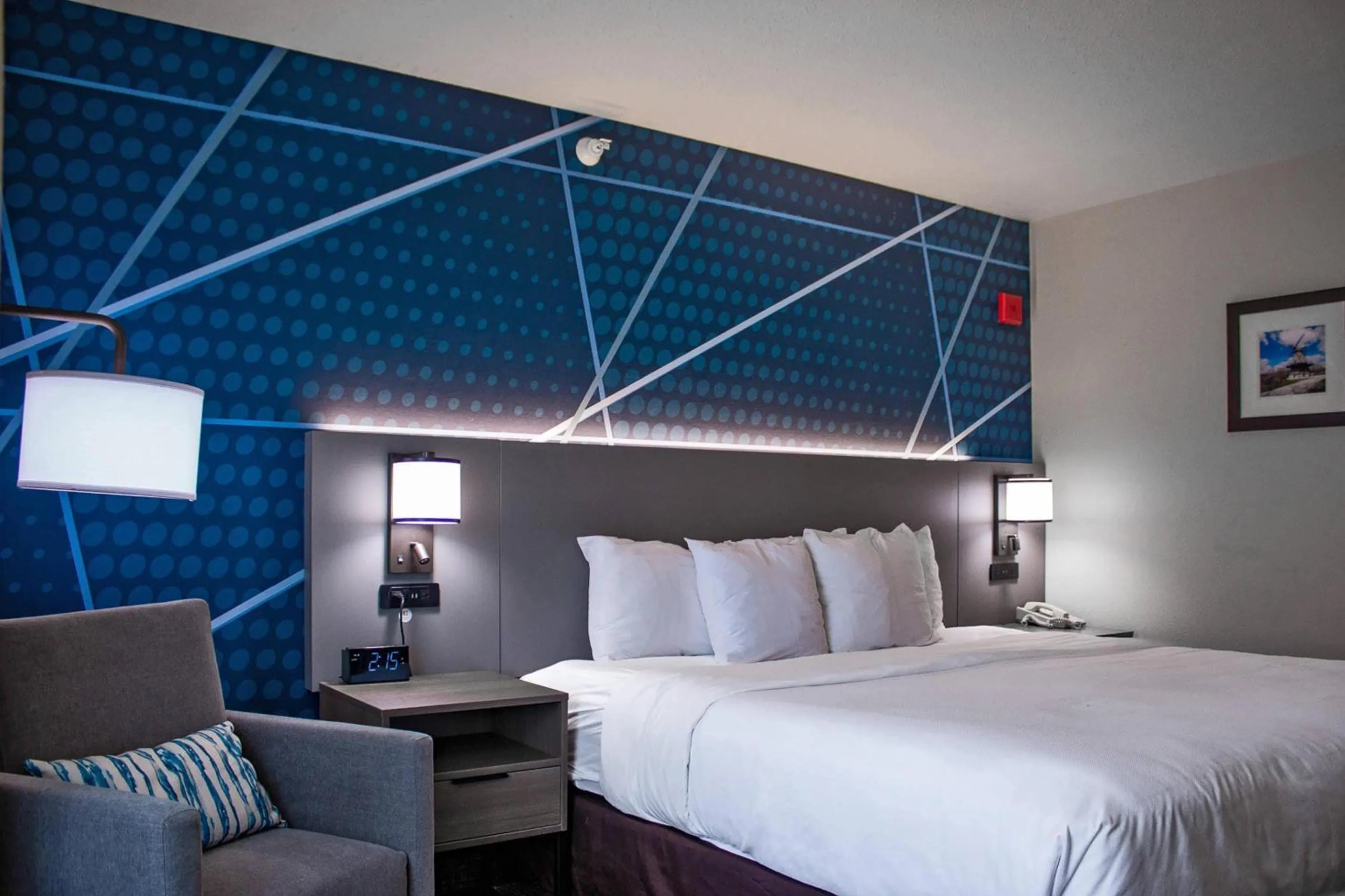 Bedroom, Bed in Comfort Inn & Suites Geneva- West Chicago