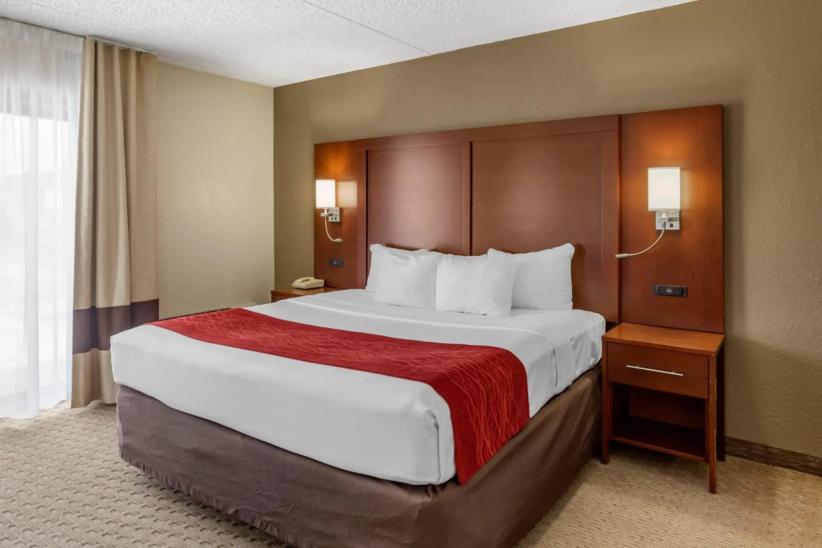 Standard King Room with Roll In Shower - Accessible/Non Smoking in Comfort Inn & Suites Rochelle - DeKalb Standard King Room with Roll In Shower - Accessible/Non Smoking in Comfort Inn & Suites Rochelle - DeKalb